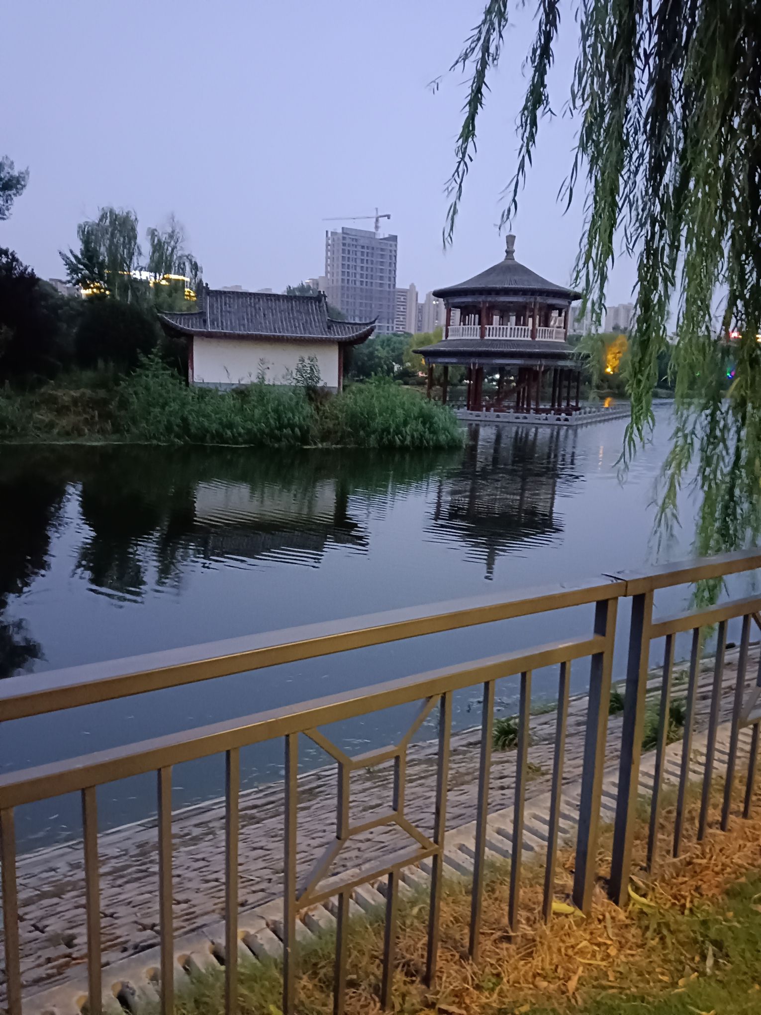 白沟生态公园