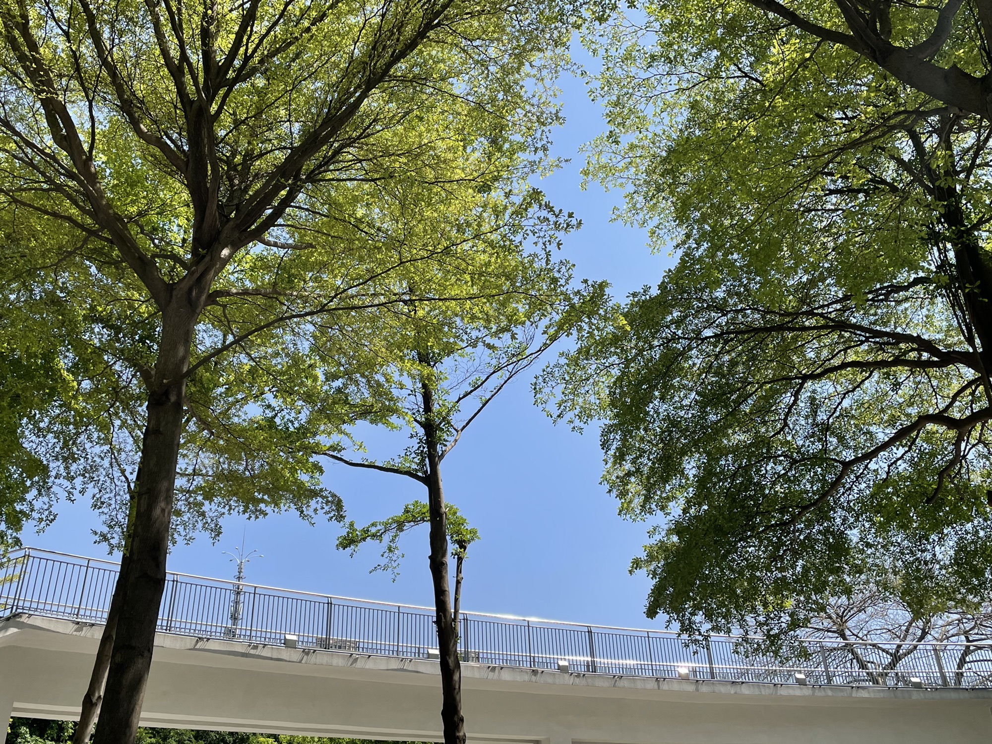 千灯湖体育公园