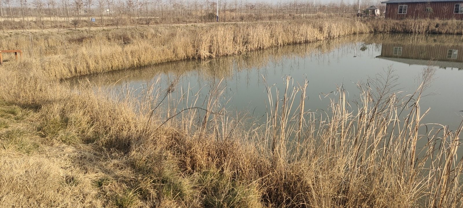 牛旦湾田园小镇
