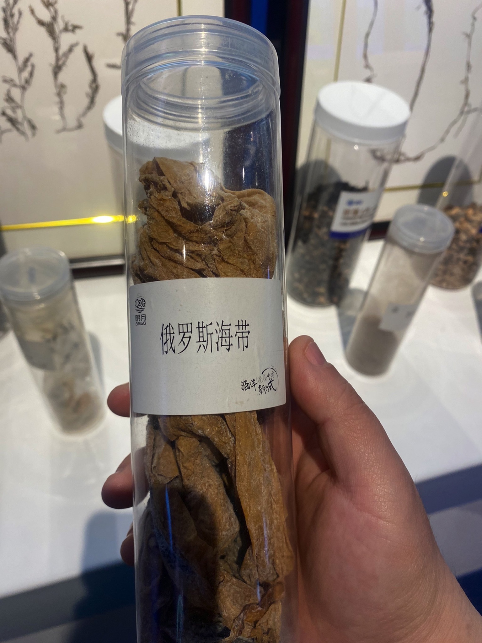 明月海藻世界