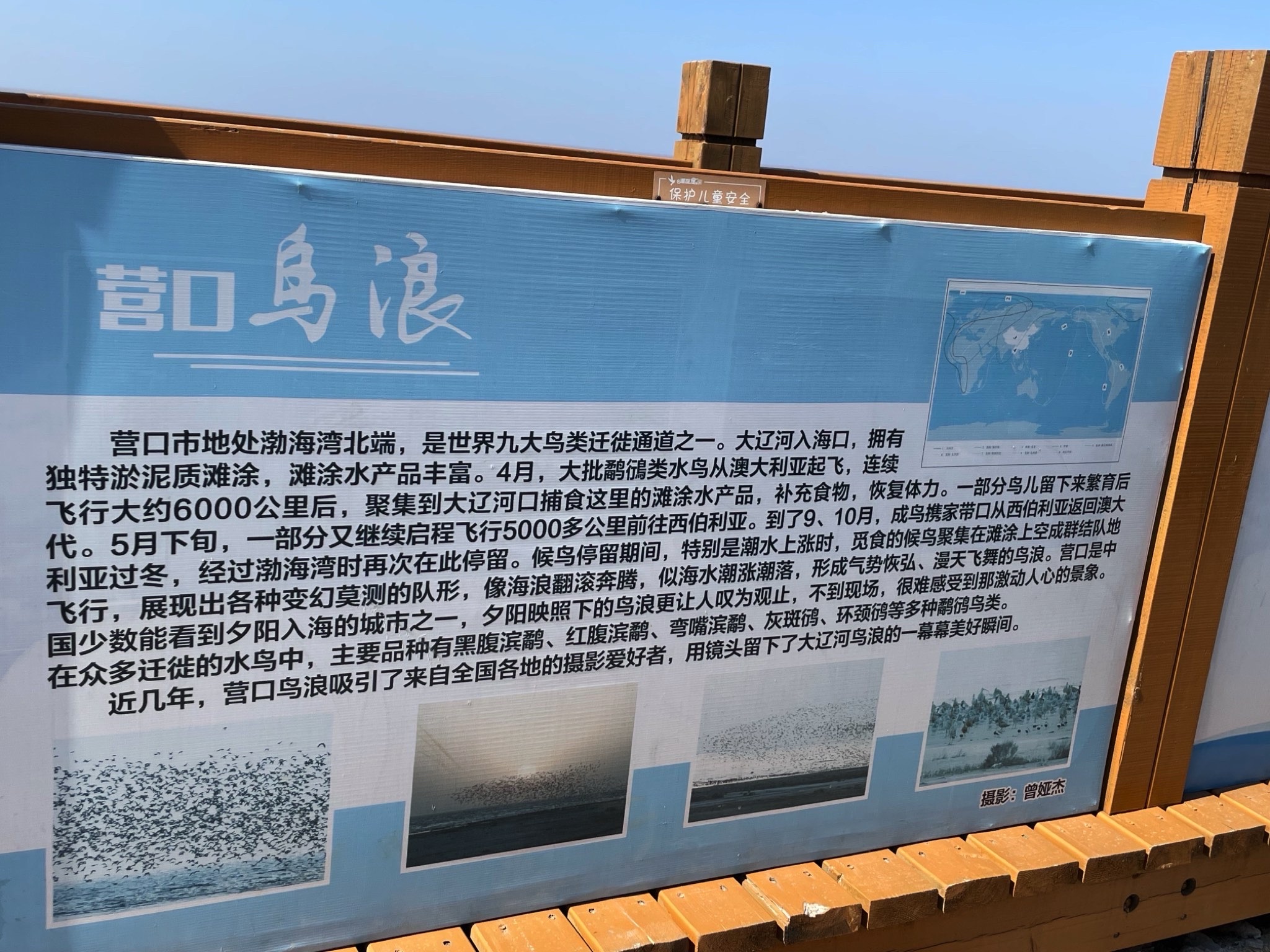 营口鸟浪广场旅行图片