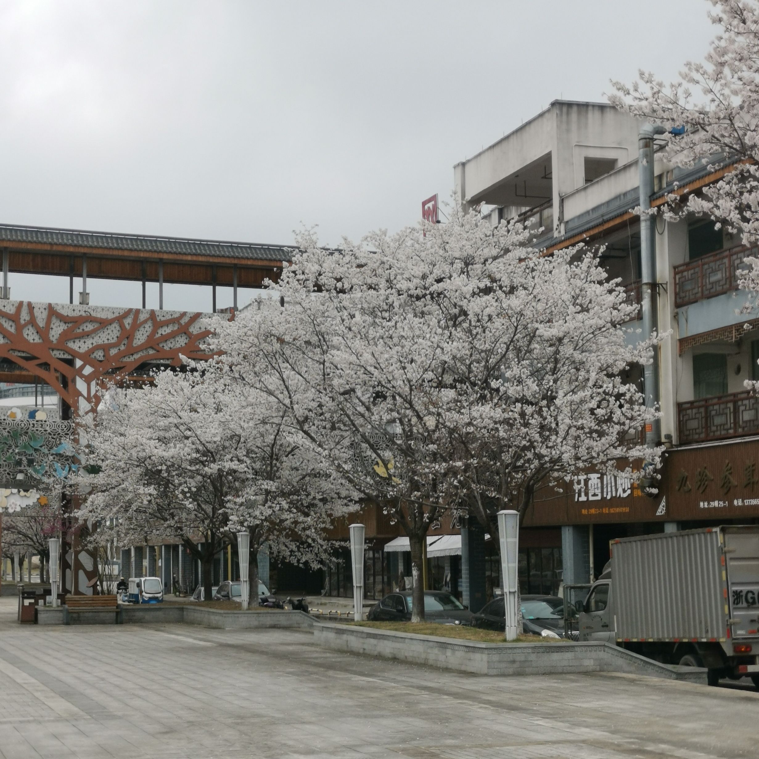 浙八味市场樱花公园