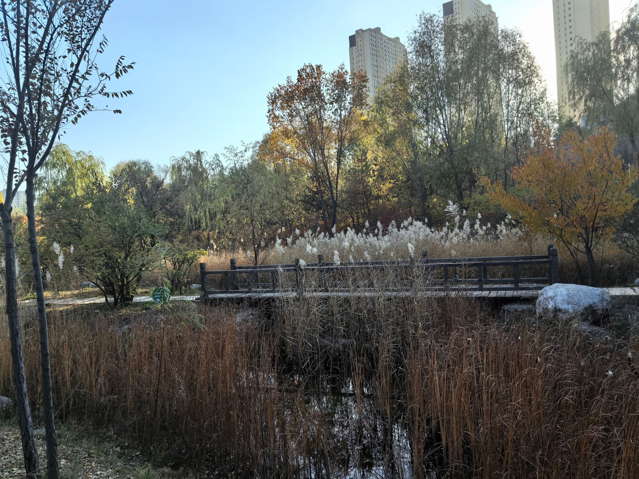 乌素图杏花谷旅行图片