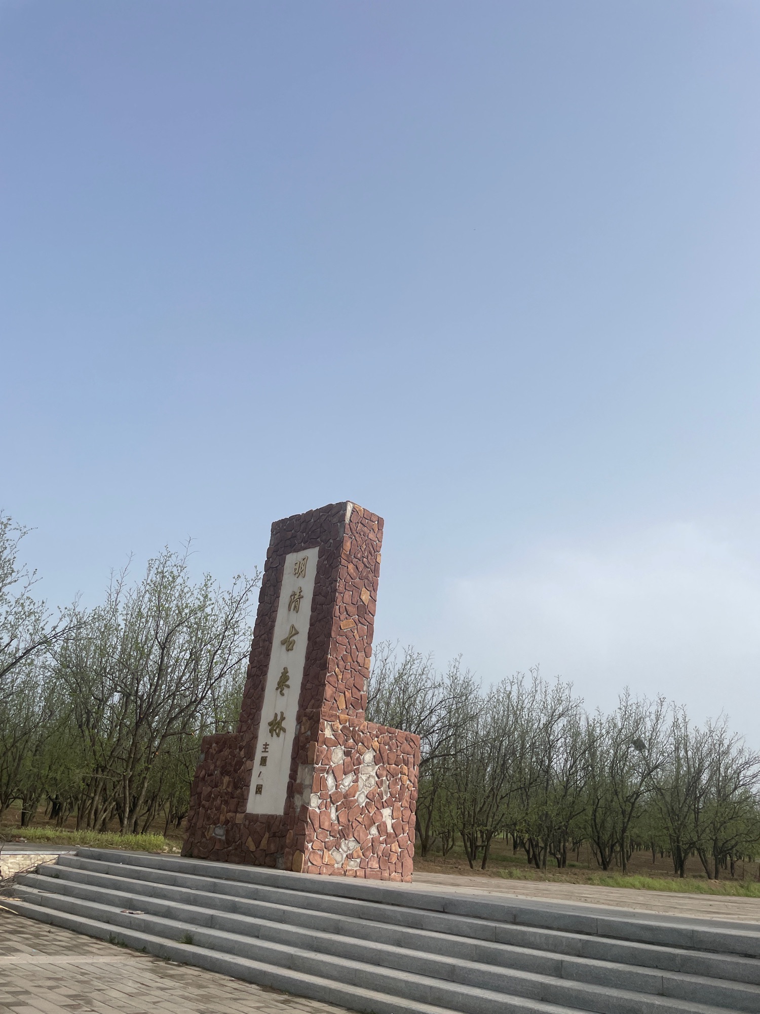 明清古枣林主题公园