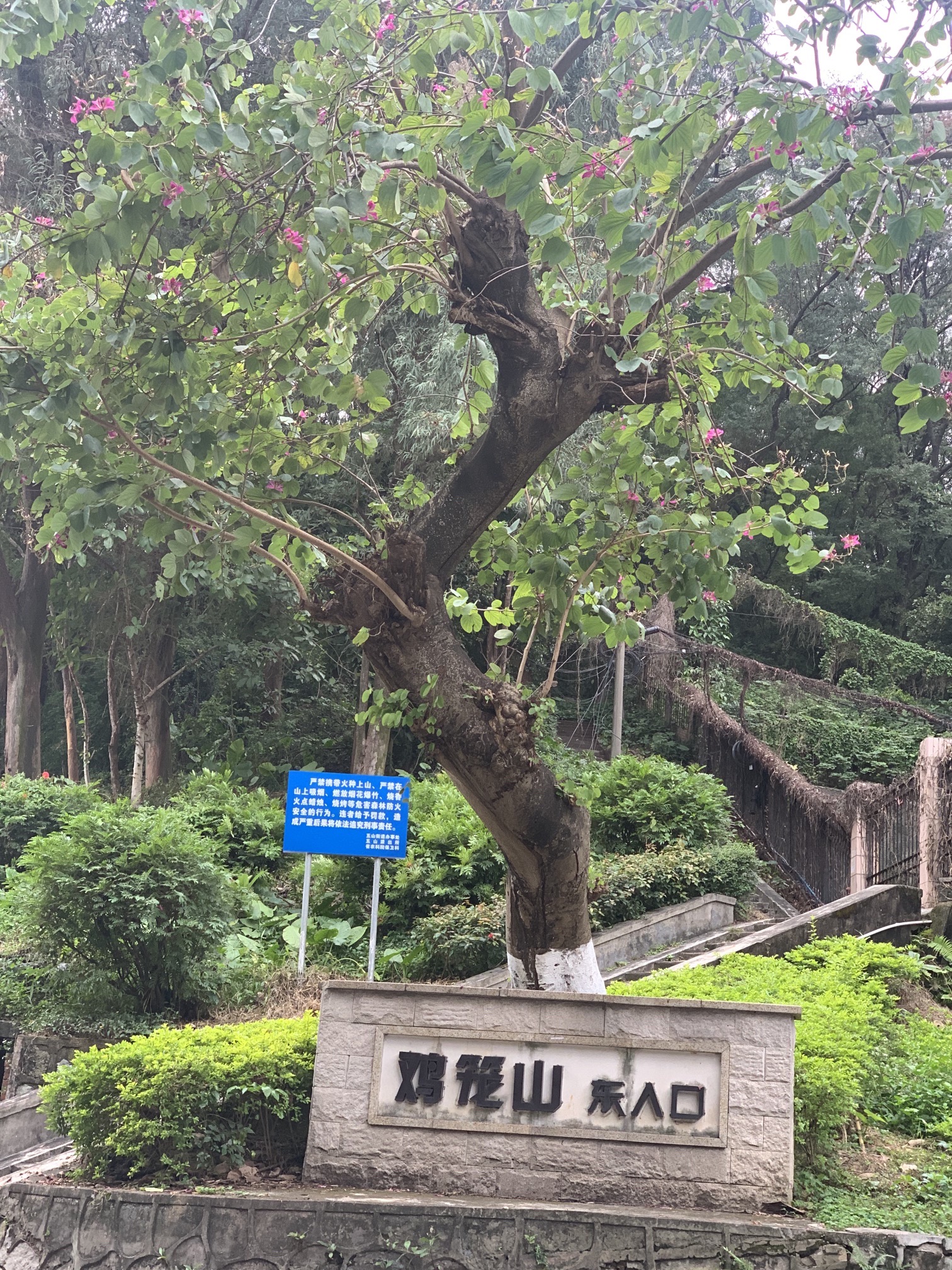 鸡笼山山顶广场