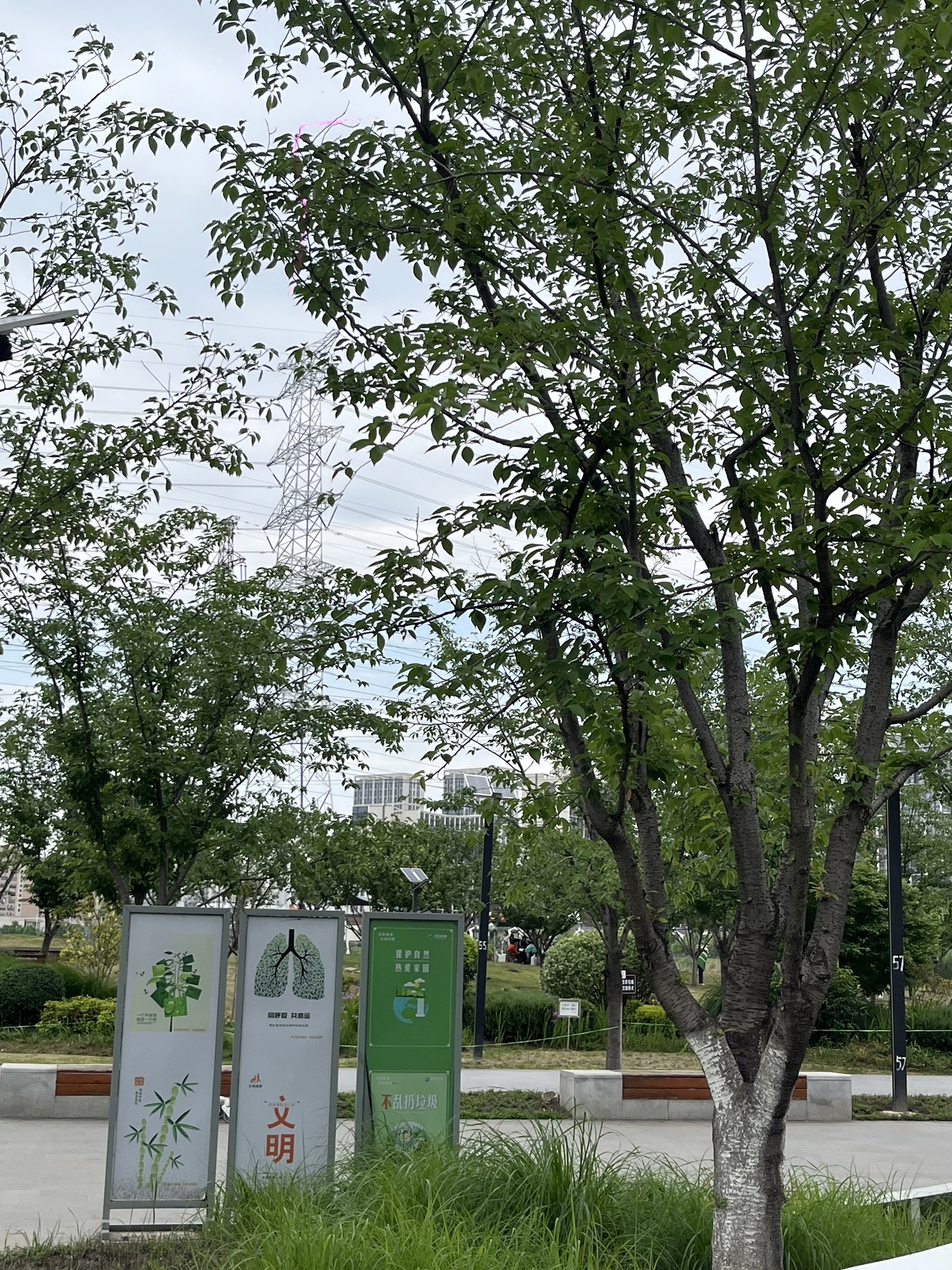黄塘湖公园