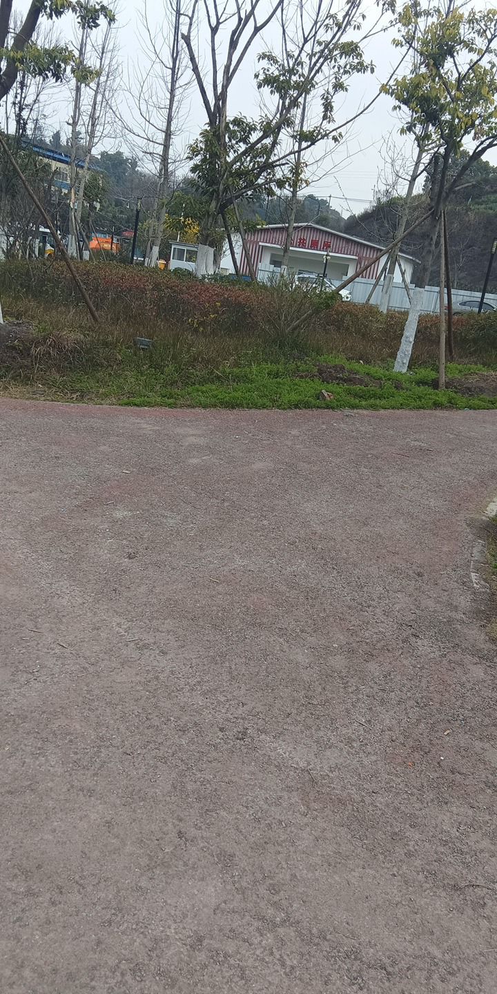 奉安公园