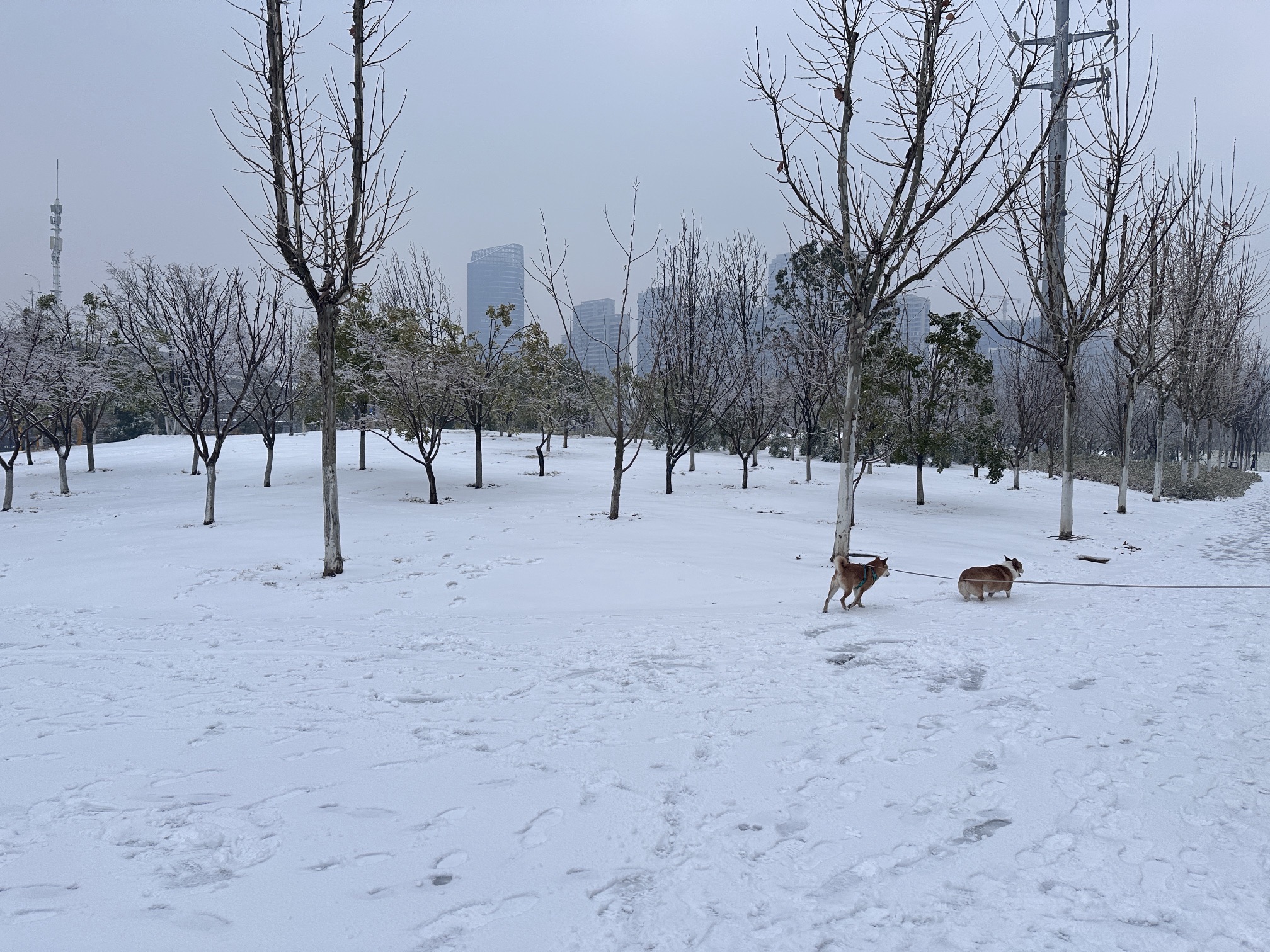 八坦路公园旅行图片