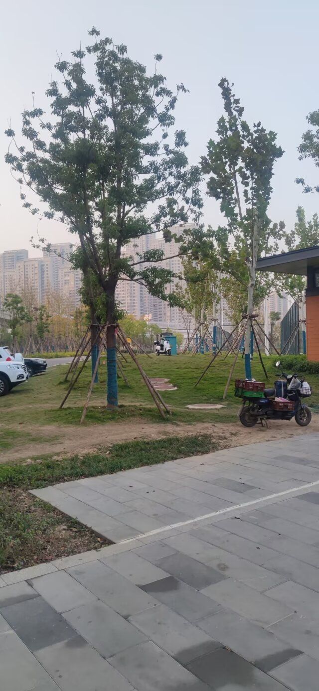八坦路公园旅行图片