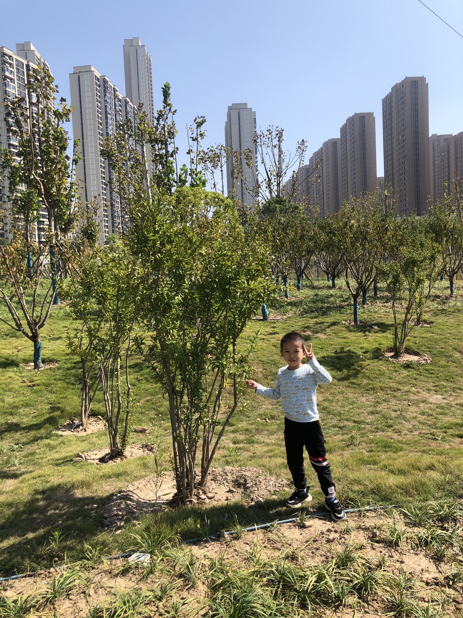 八坦路公园旅行图片