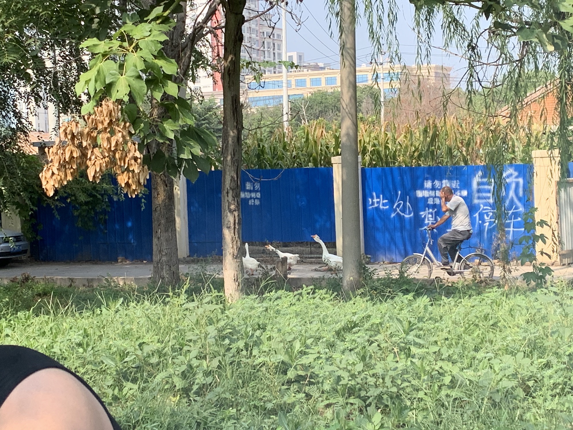 运畔公园