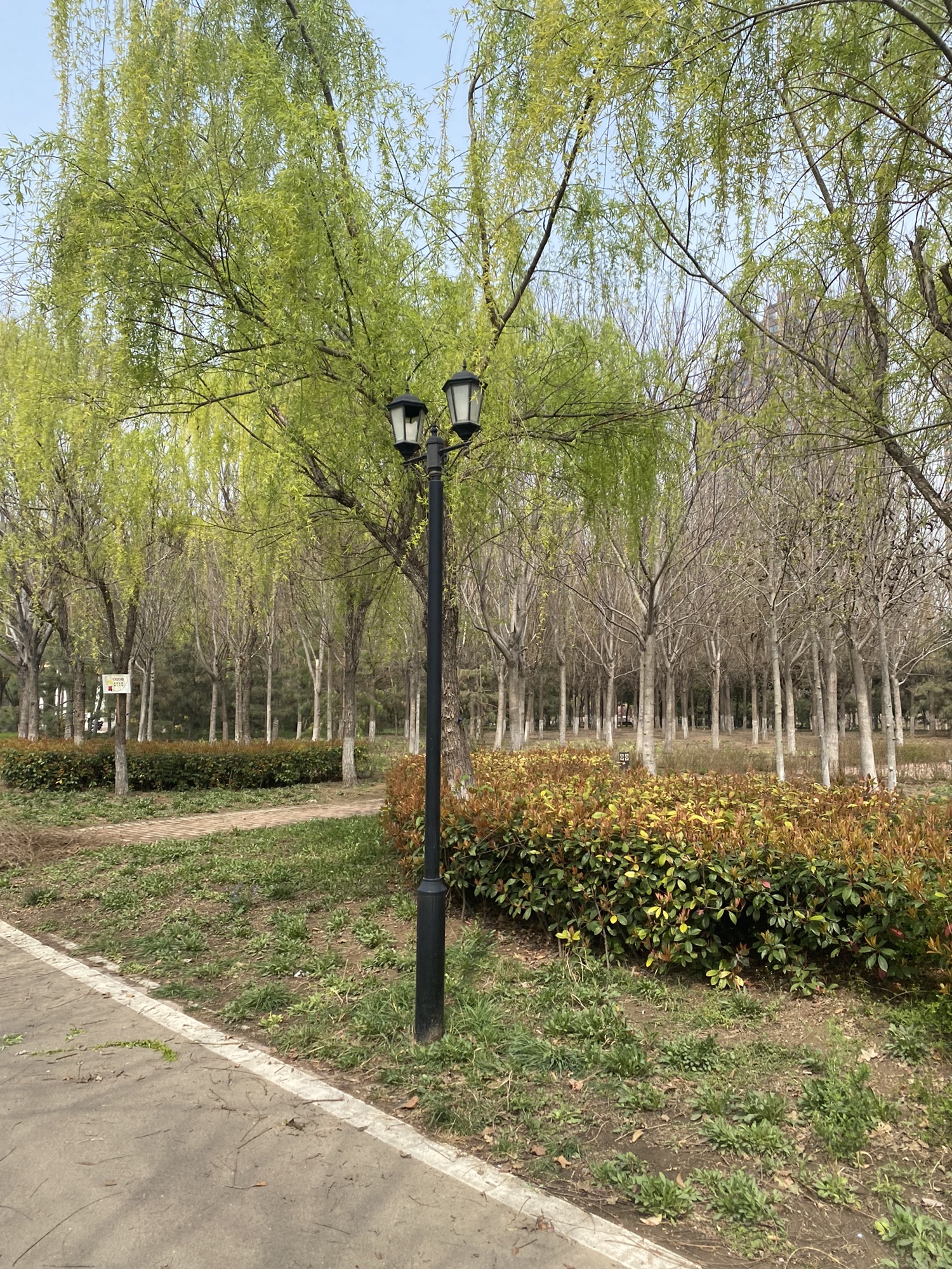 运河公园-西小站旅行图片