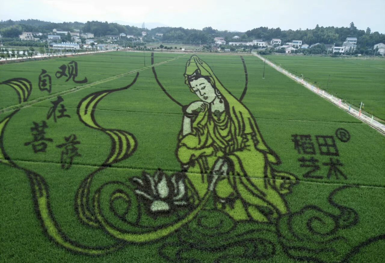 长沙县五福村金银坝旅行图片