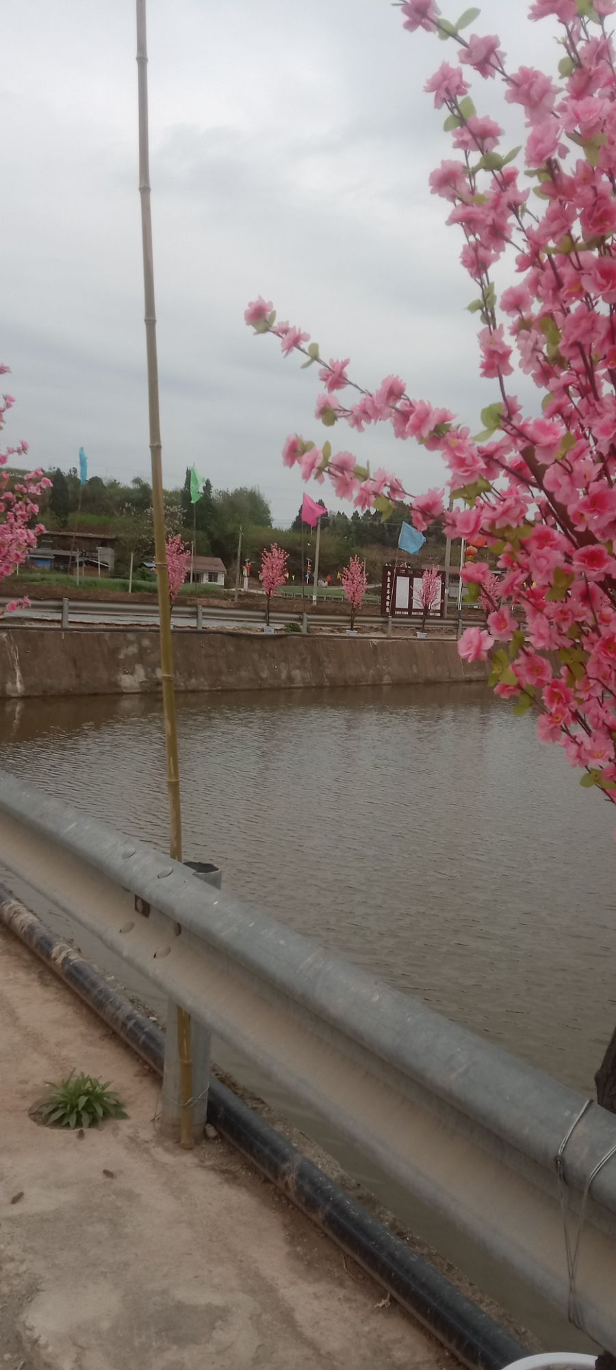 阳春花谷
