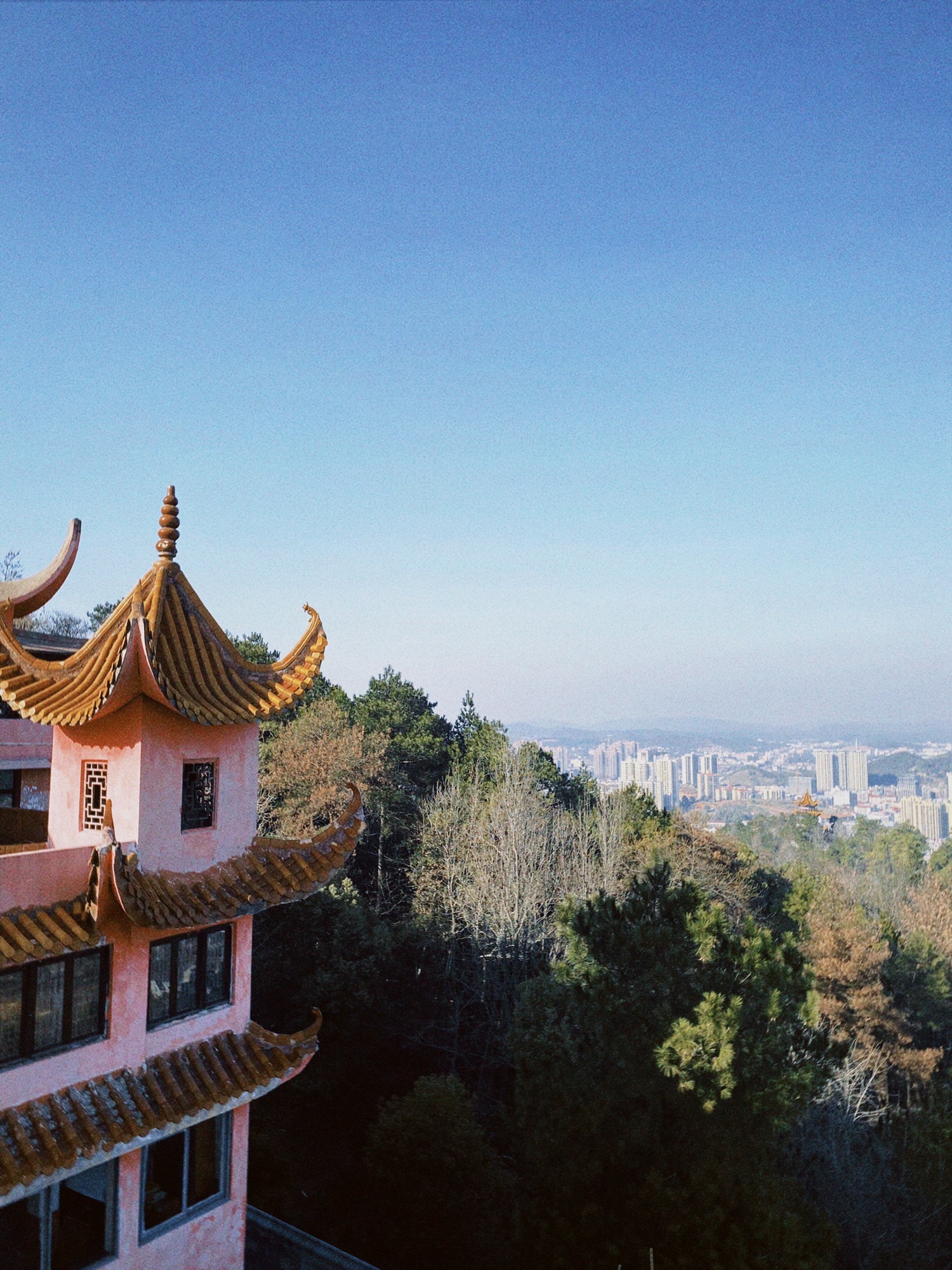 紫巾山森林公园旅行图片