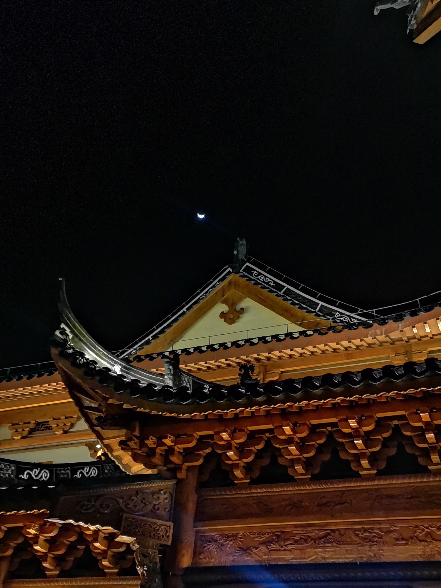 阳明文化公园旅行图片