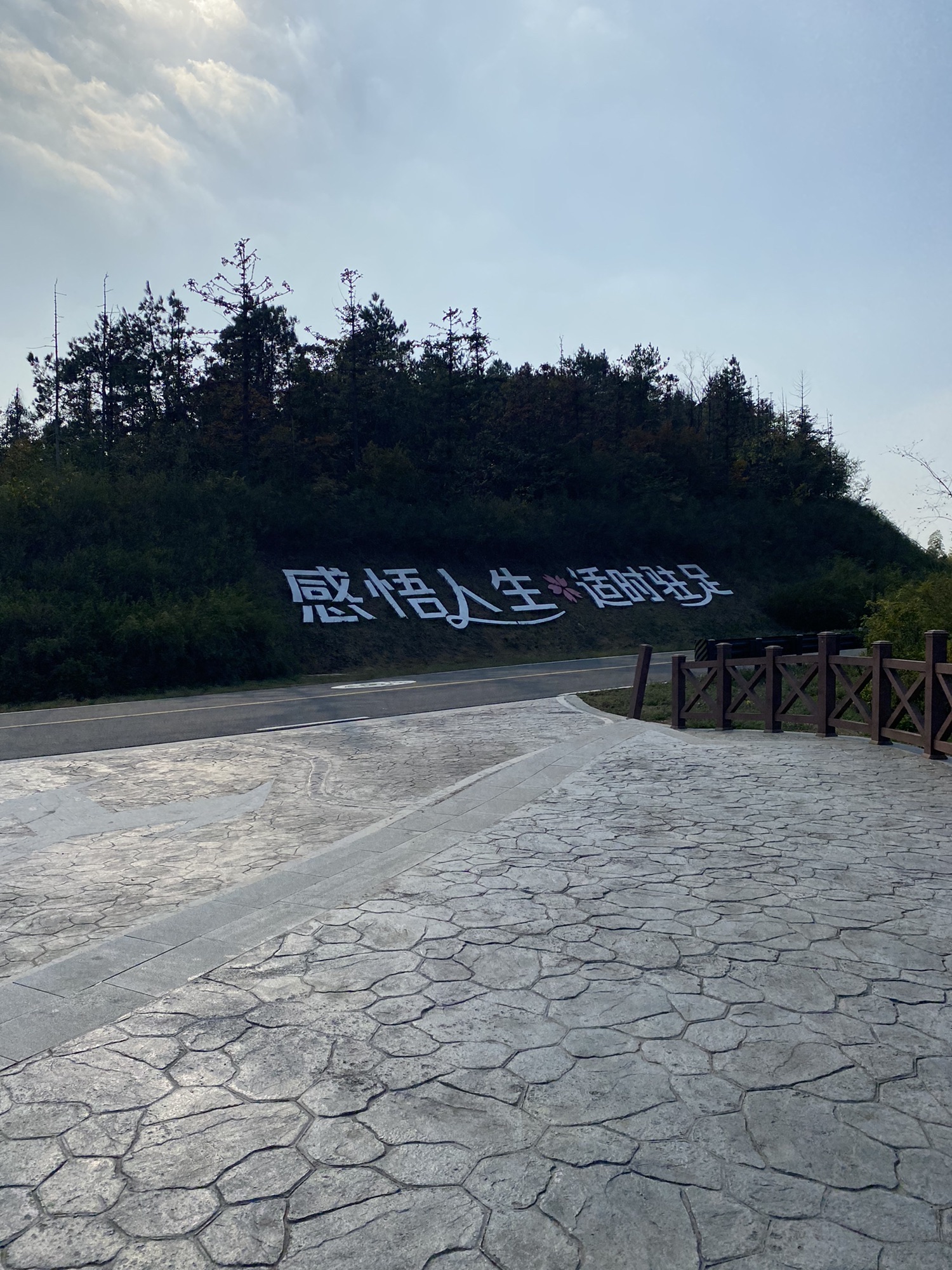 乐道金坛绿野仙踪之春风十里旅行图片