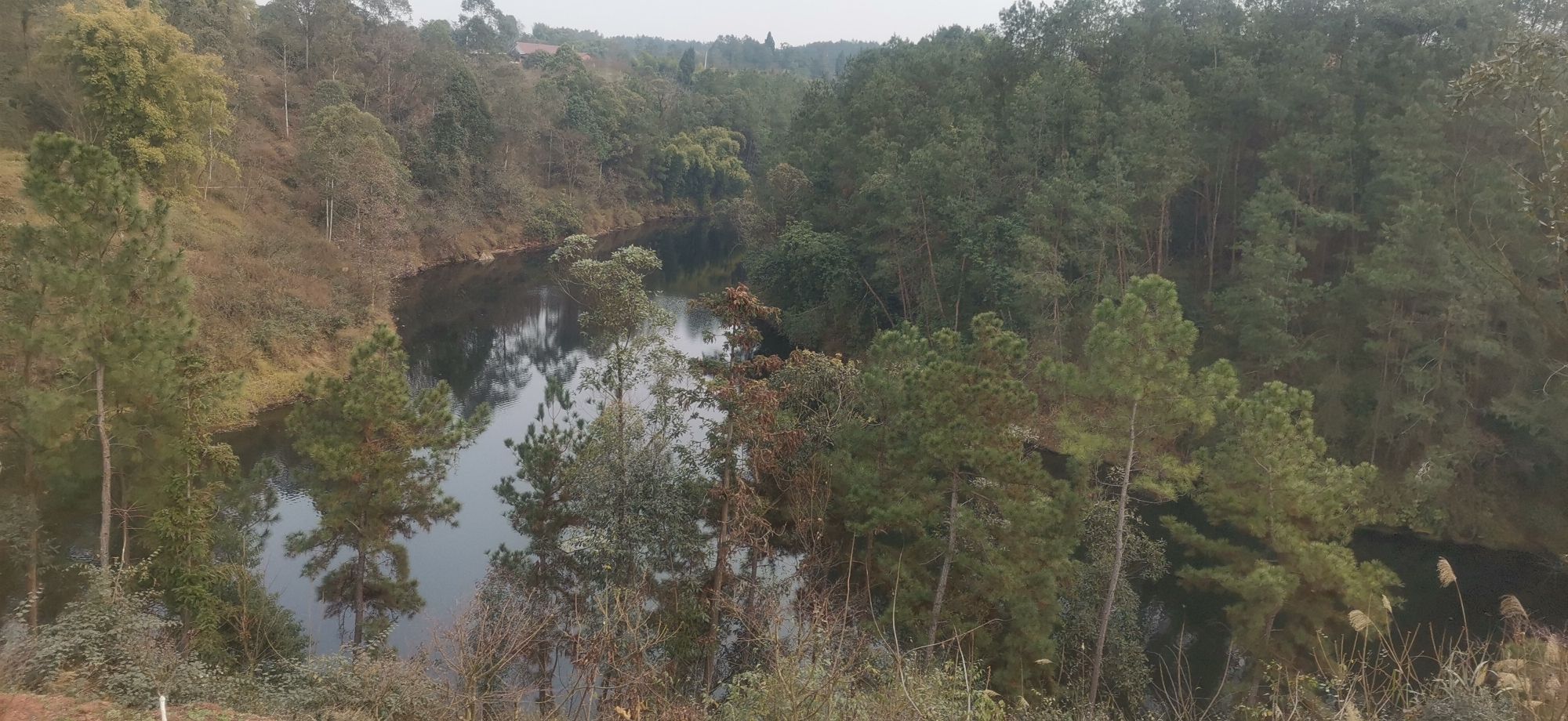 莲花彩色生态园区旅行图片