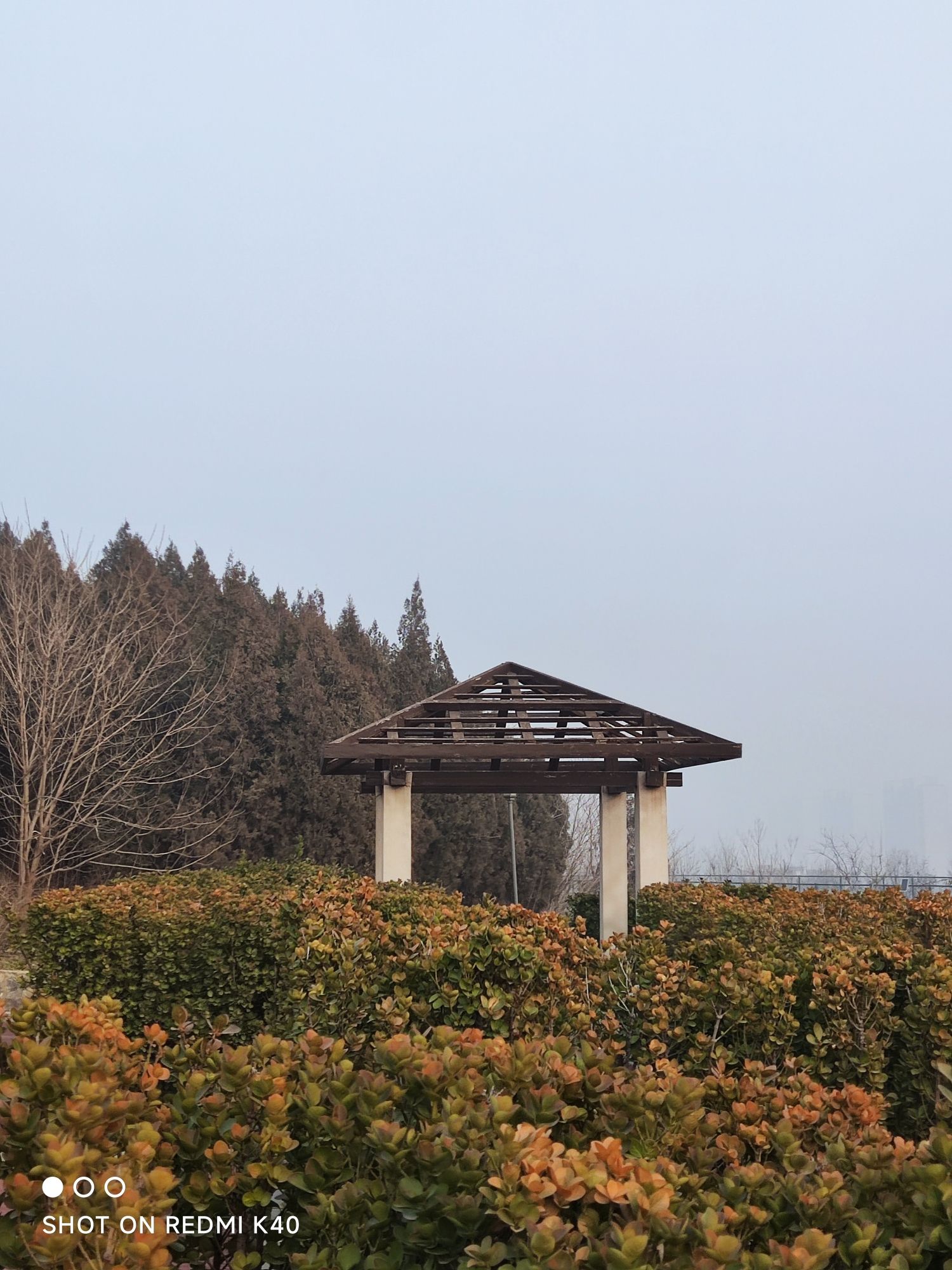 将山山地森林公园