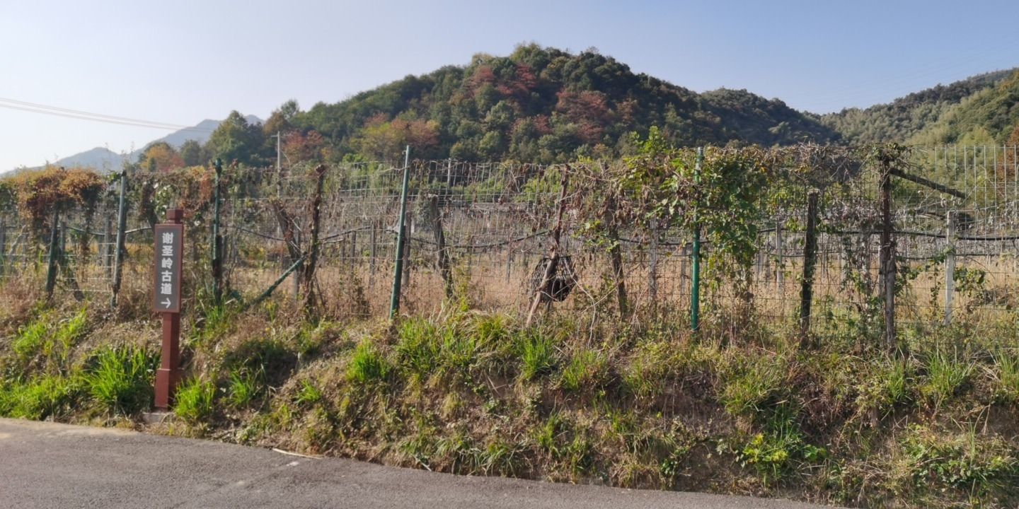 谢圣岭古道