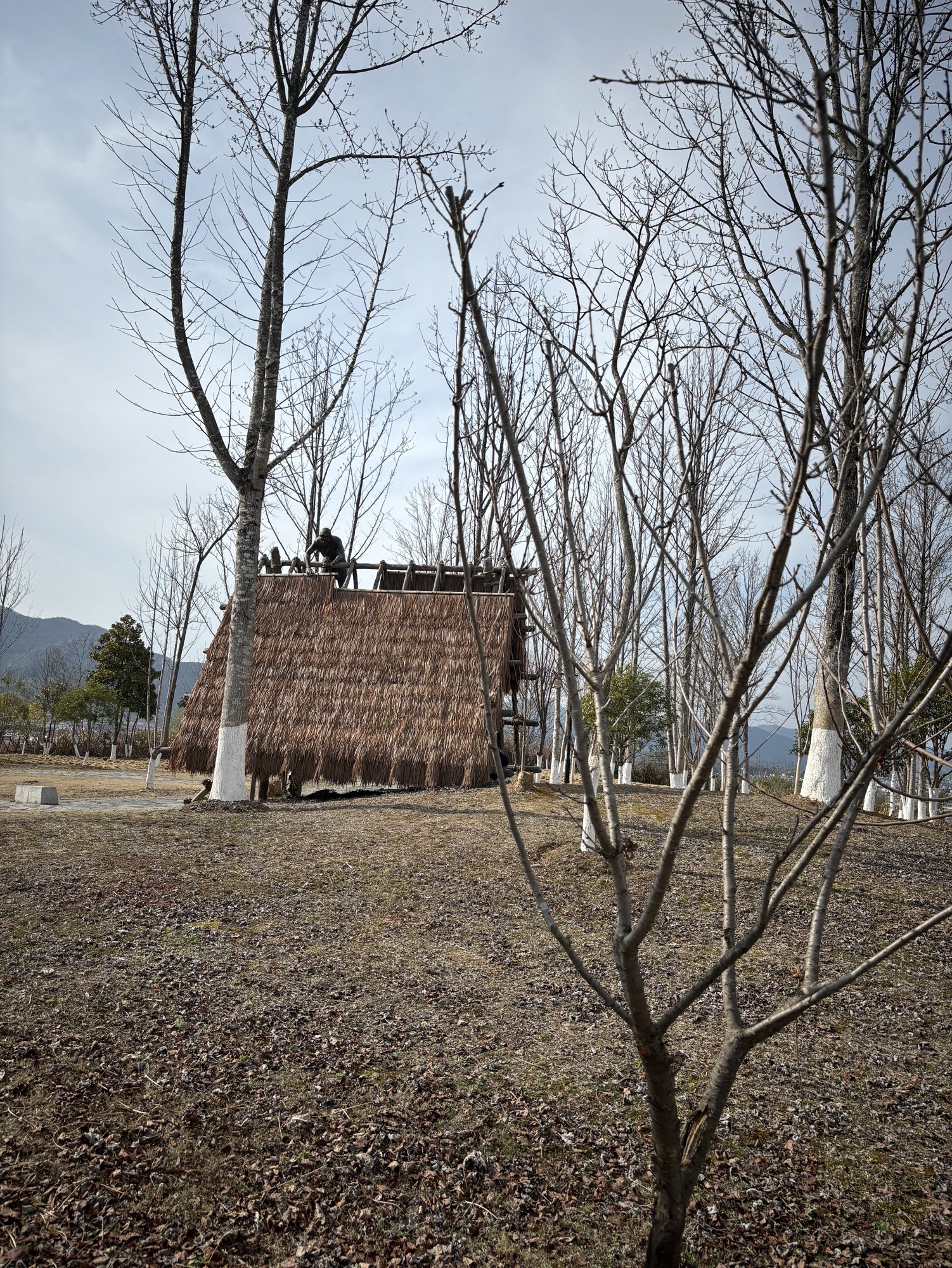 黄山区蒋家山遗址公园