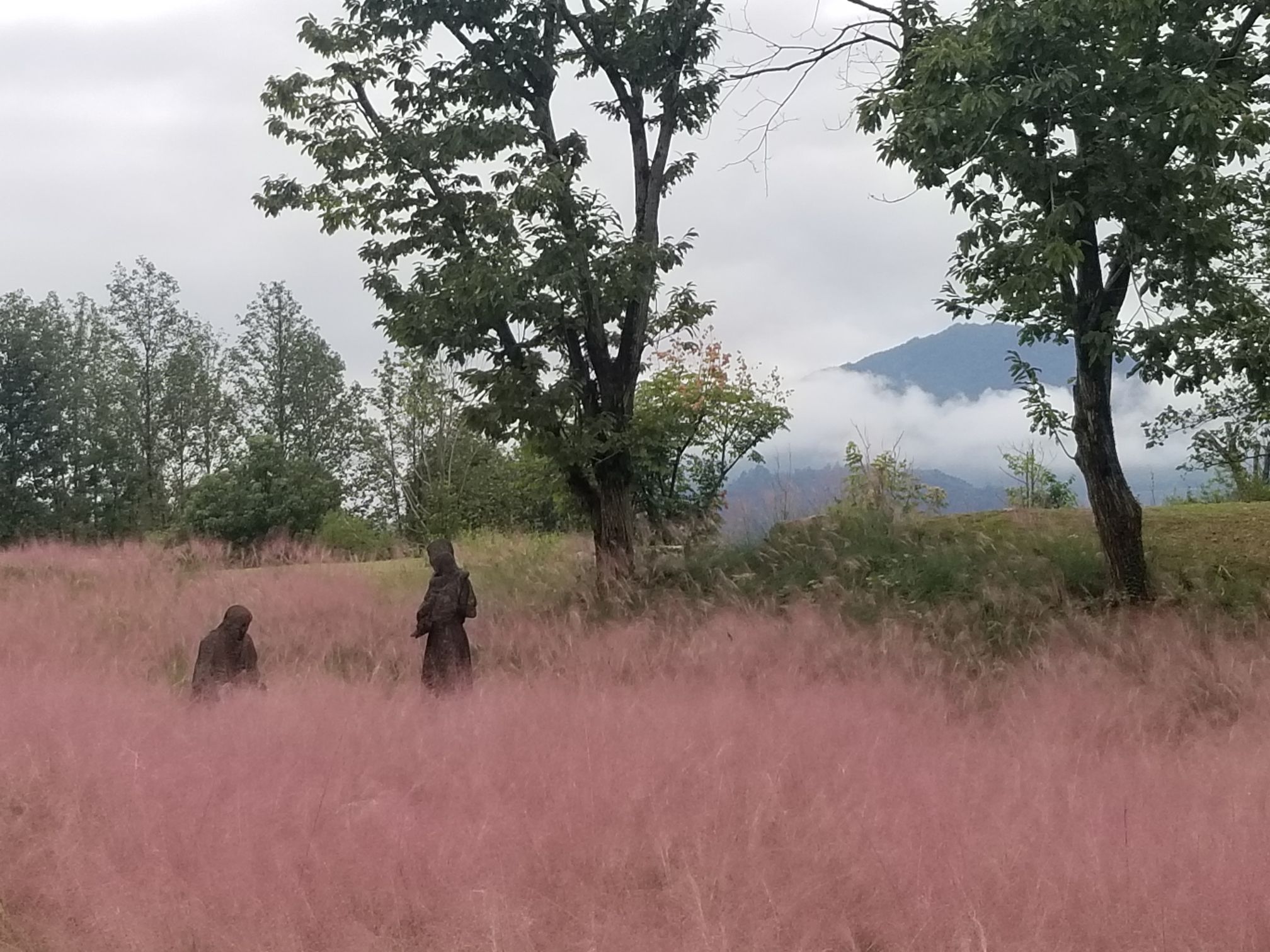 黄山区蒋家山遗址公园旅行图片