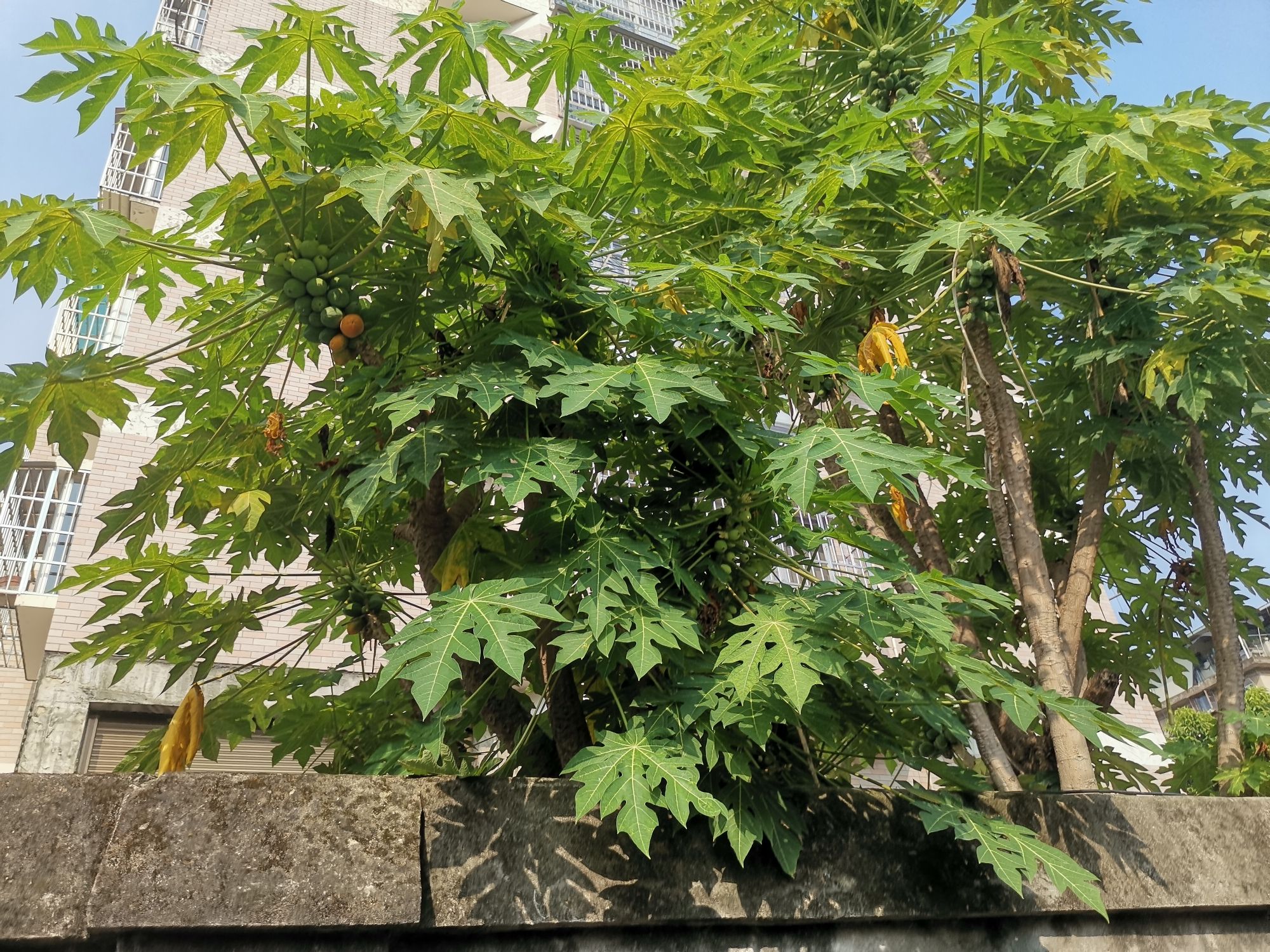 阳头历史文化街区