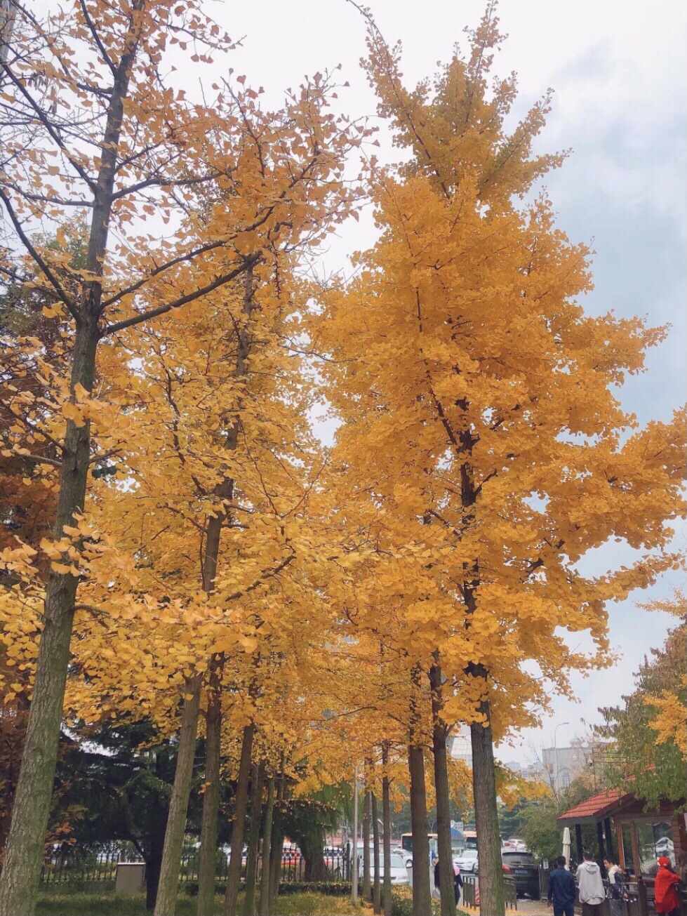 北大营街角公园
