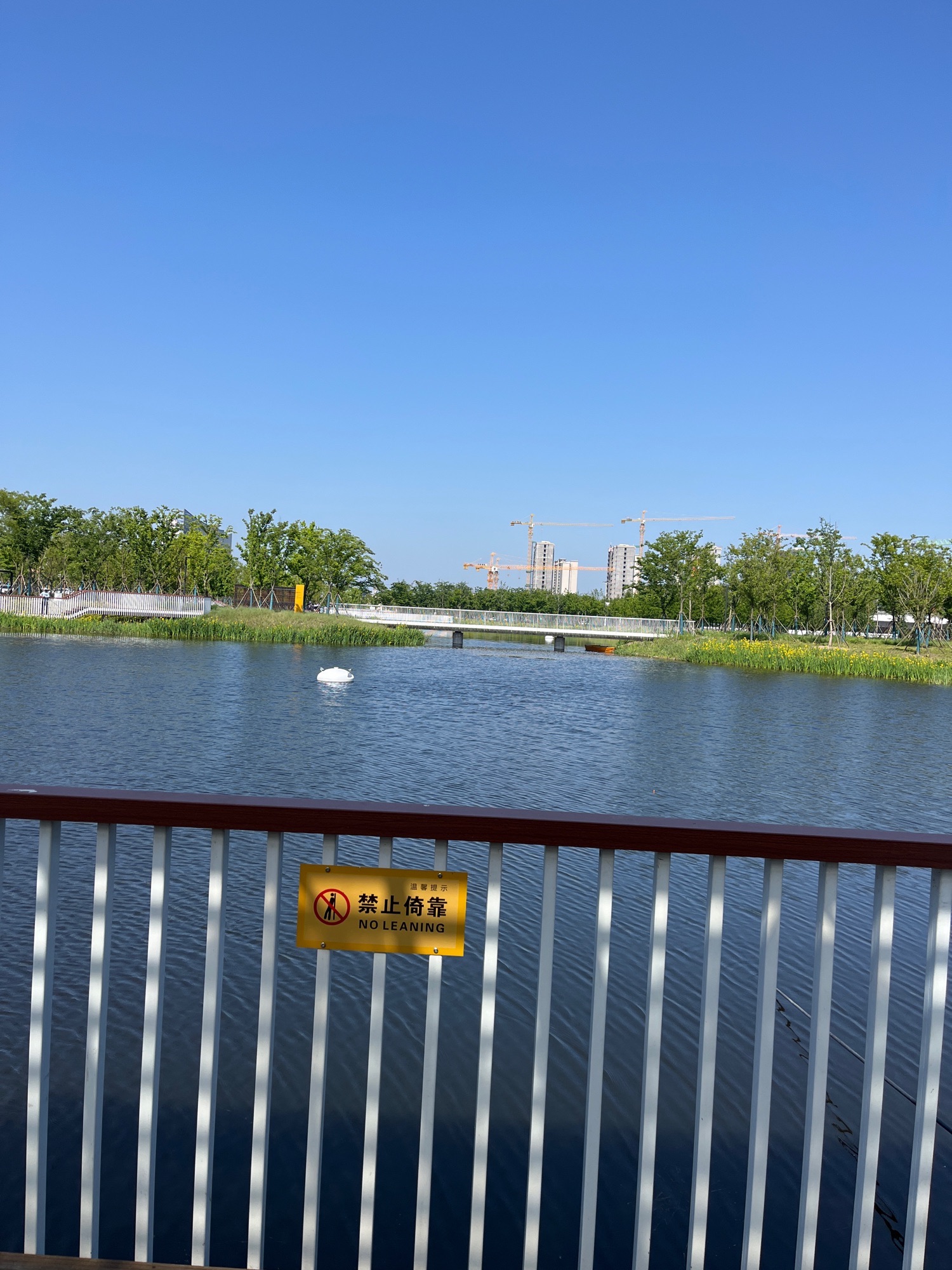 鹤鸣公园