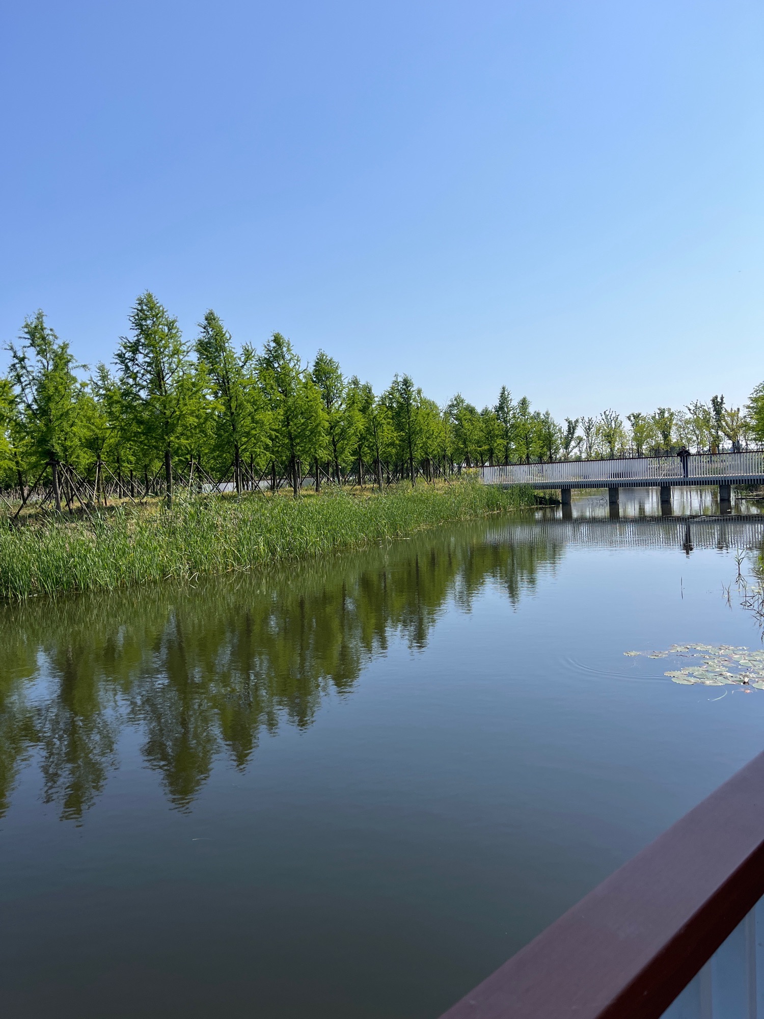 鹤鸣公园旅行图片