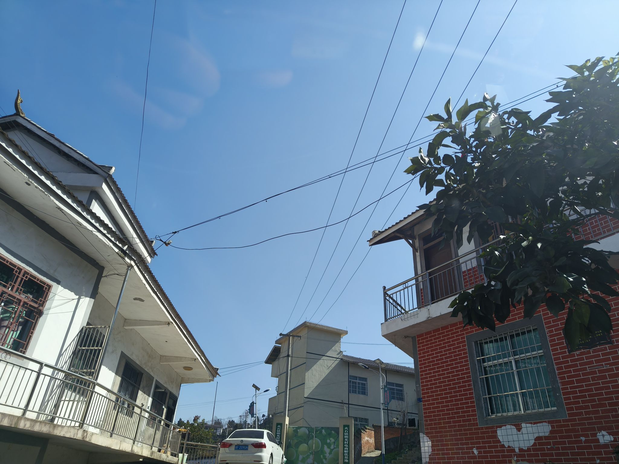 三会观