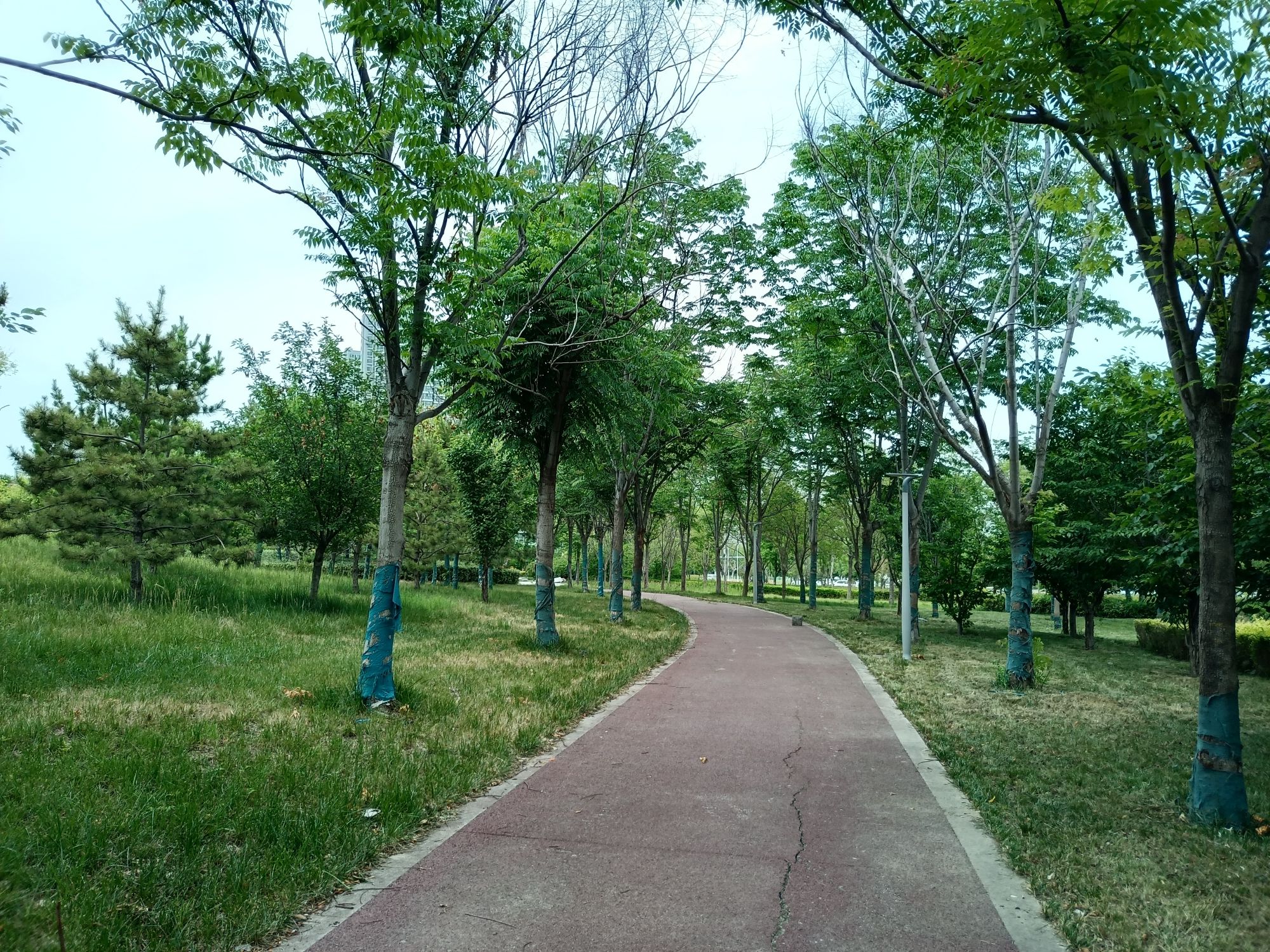 郑州华侨城街角公园
