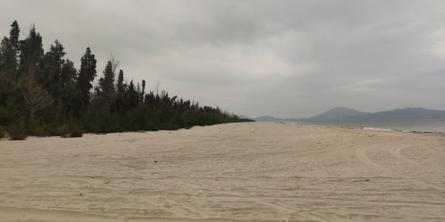 溪头镇北寮湾红树林公园