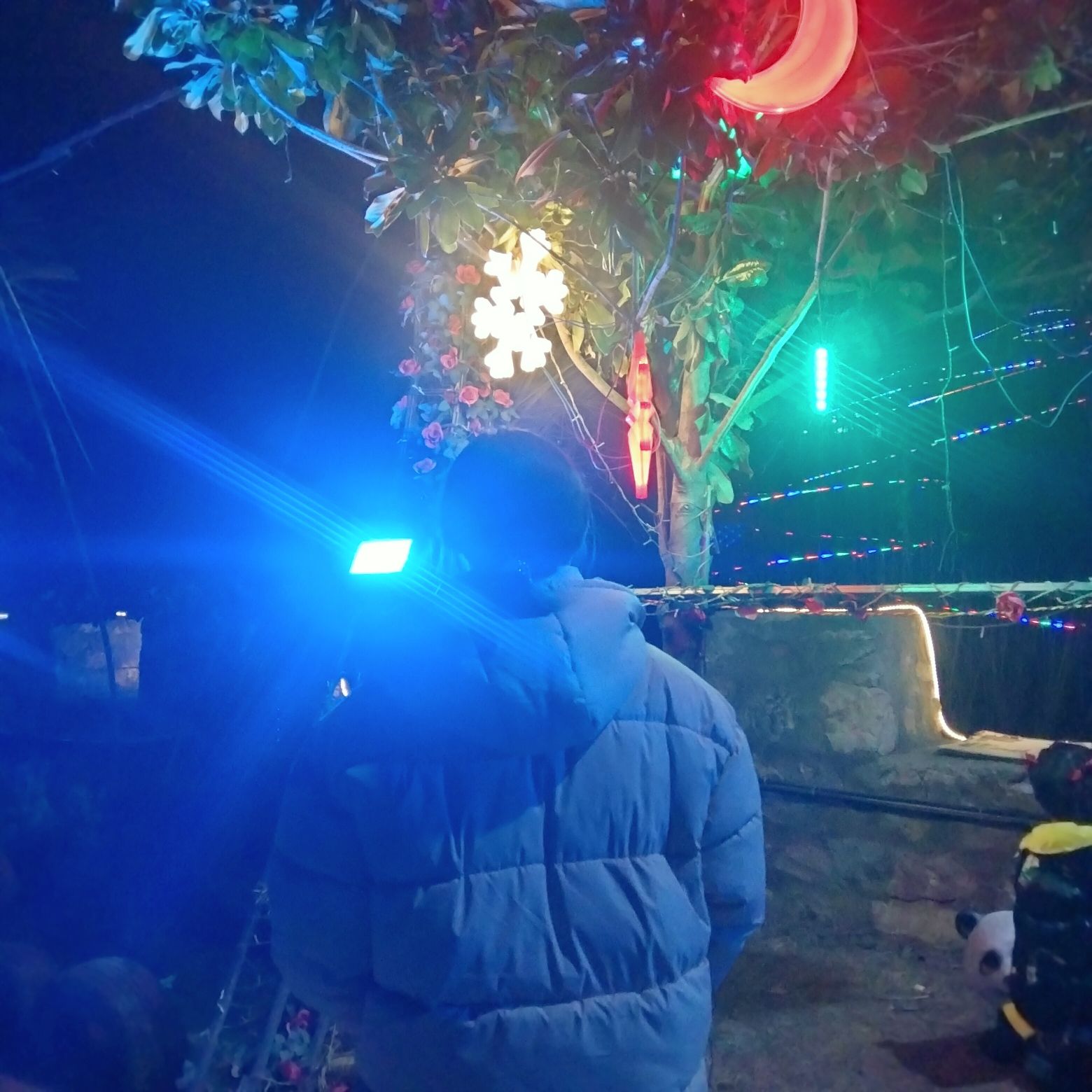 南阳红岭山地运动公园旅行图片