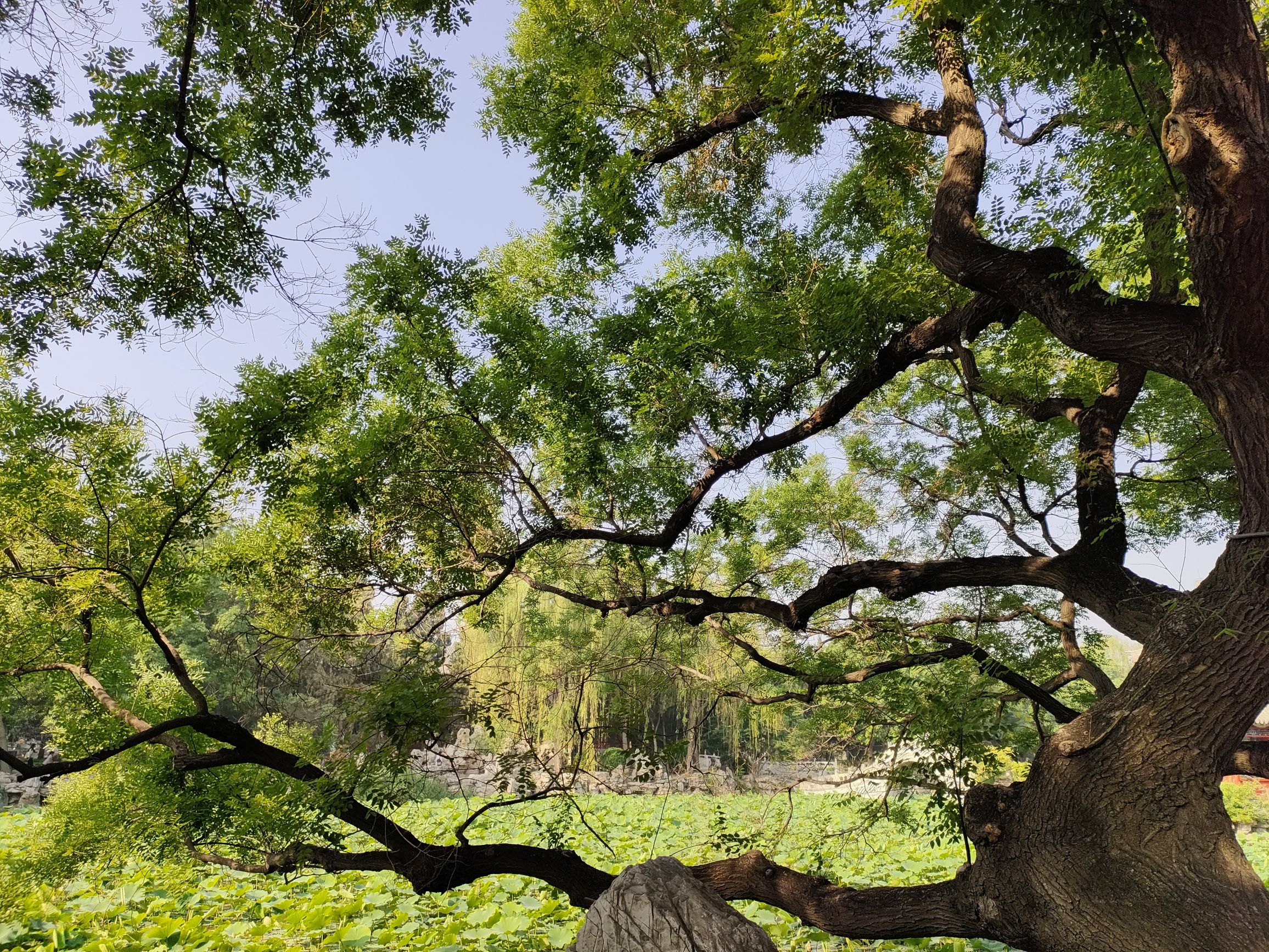 水鉴公署