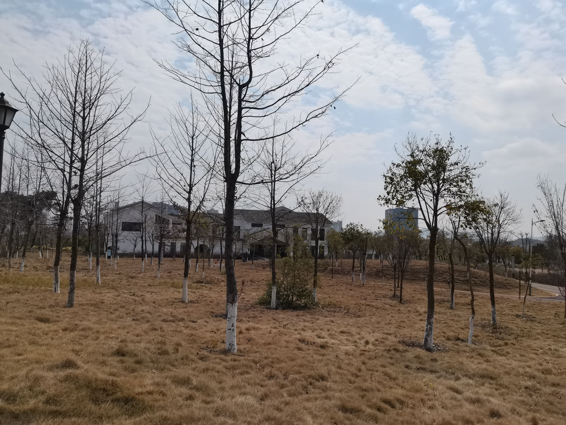 锦绣生态园绿道