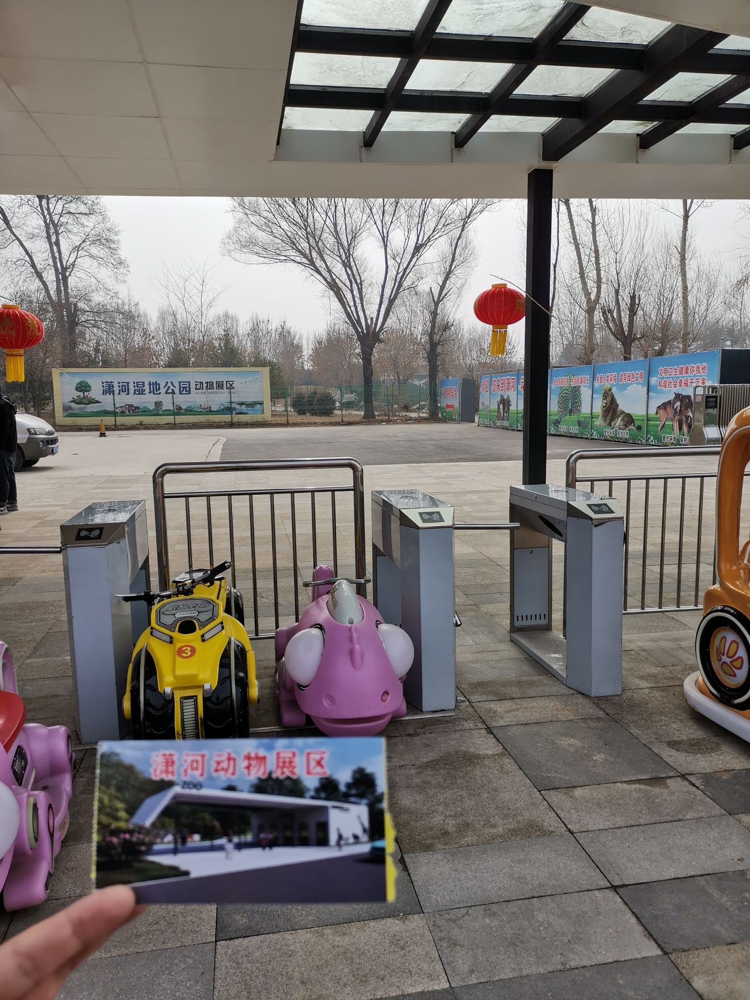潇河动物园旅行图片