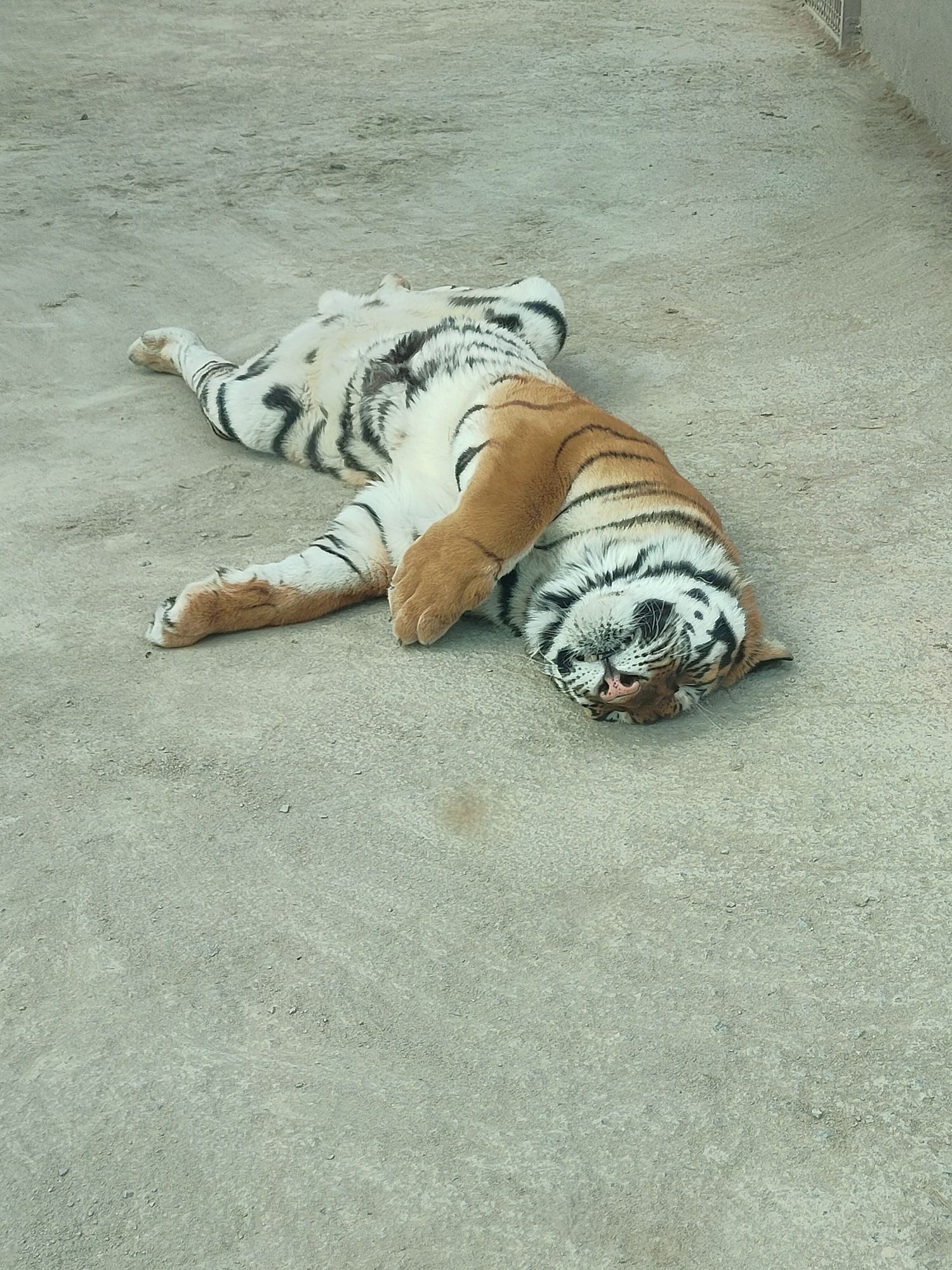 潇河动物园旅行图片
