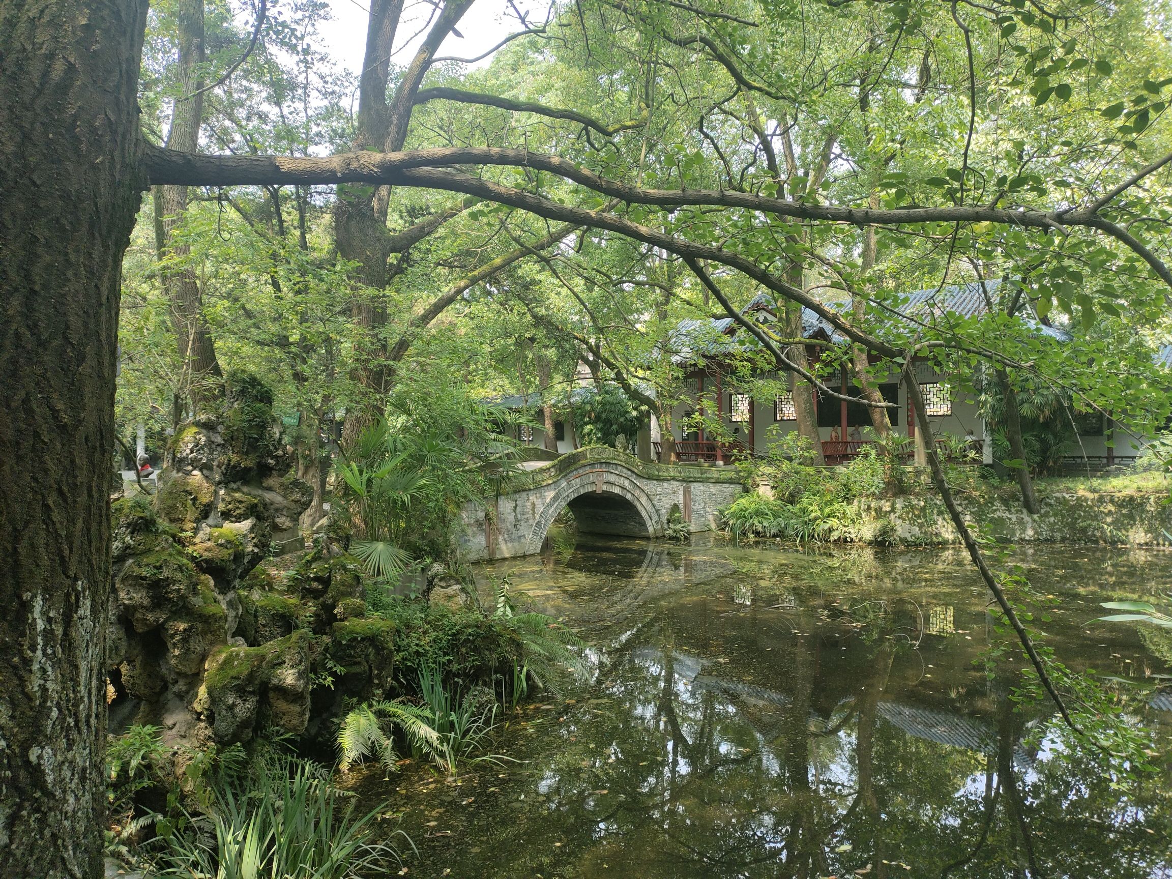 唐昌镇郊景区