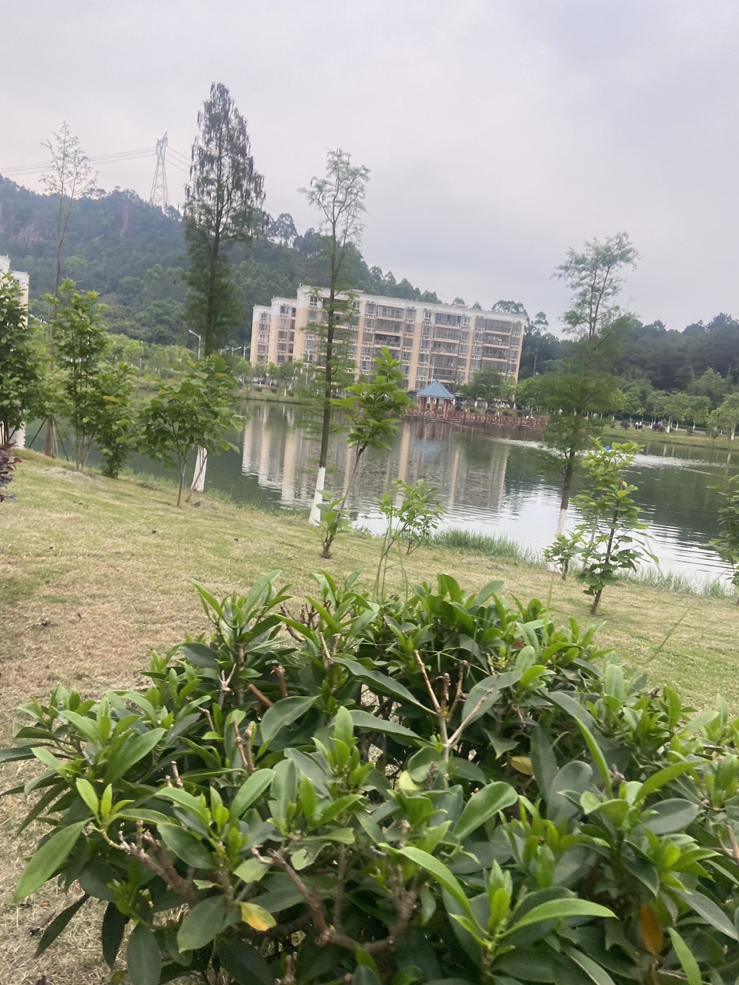 玉林师范学院(东校区)-观景湖