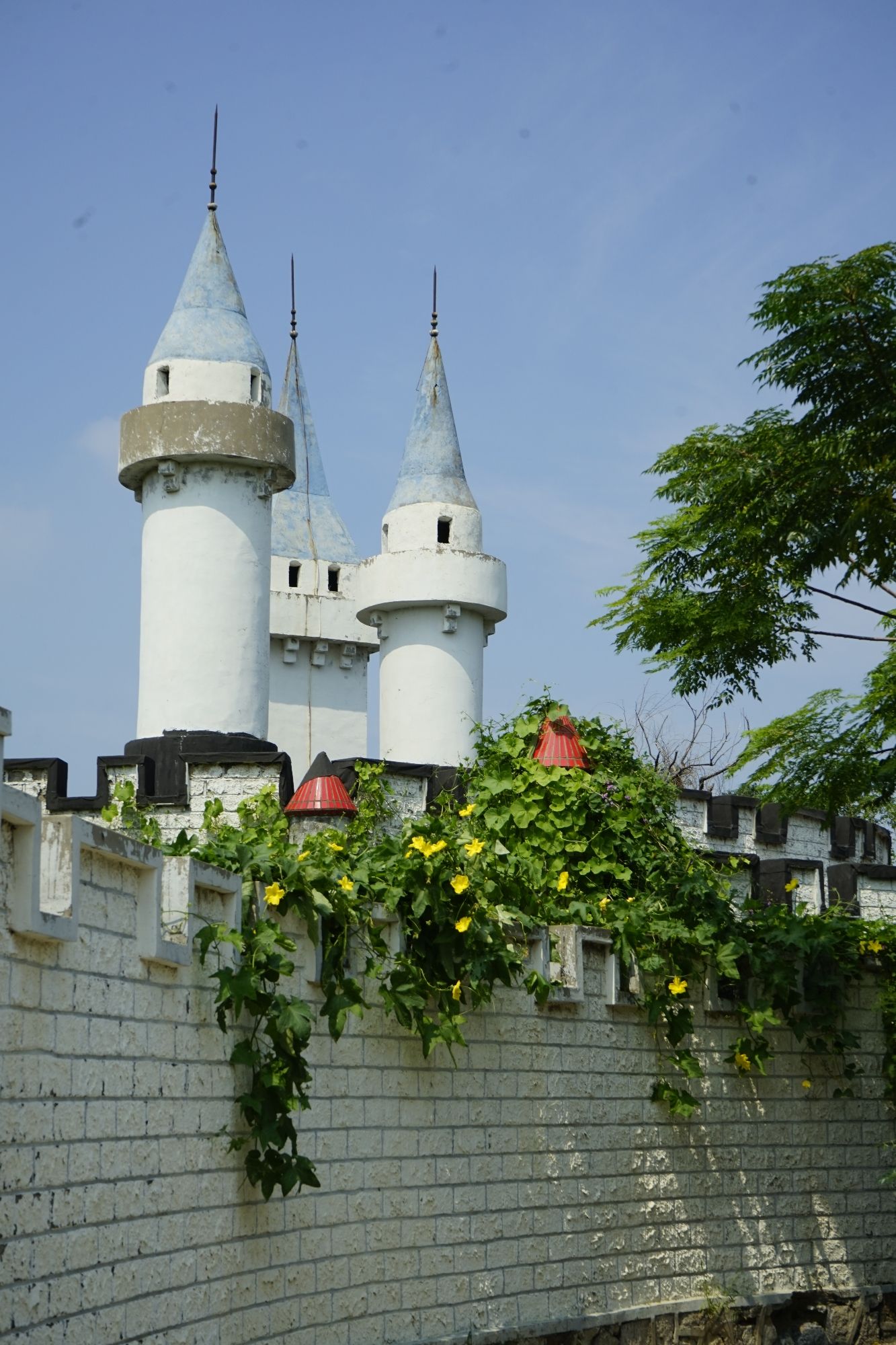 胜大公园