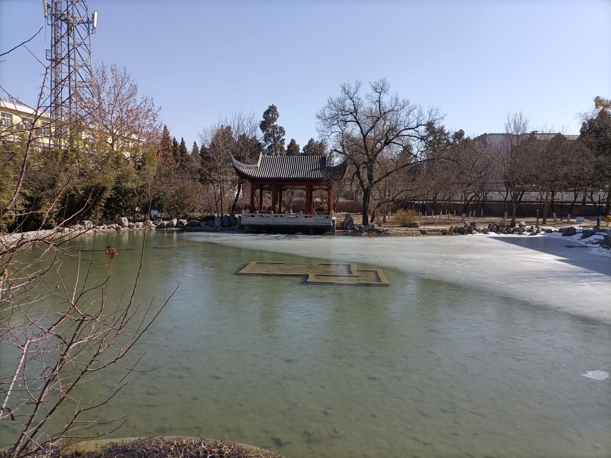 河北农业大学-莲花池