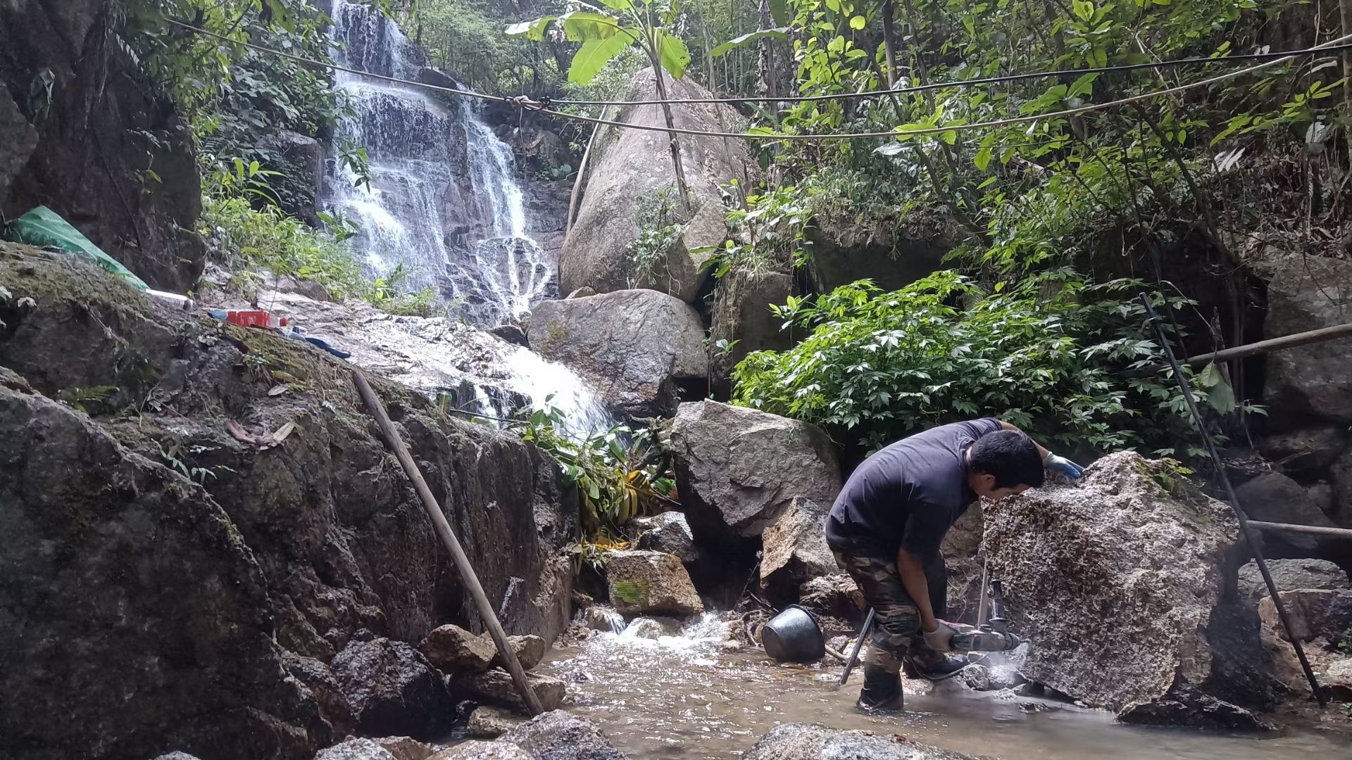 公安镇江台村樟树林公园旅行图片