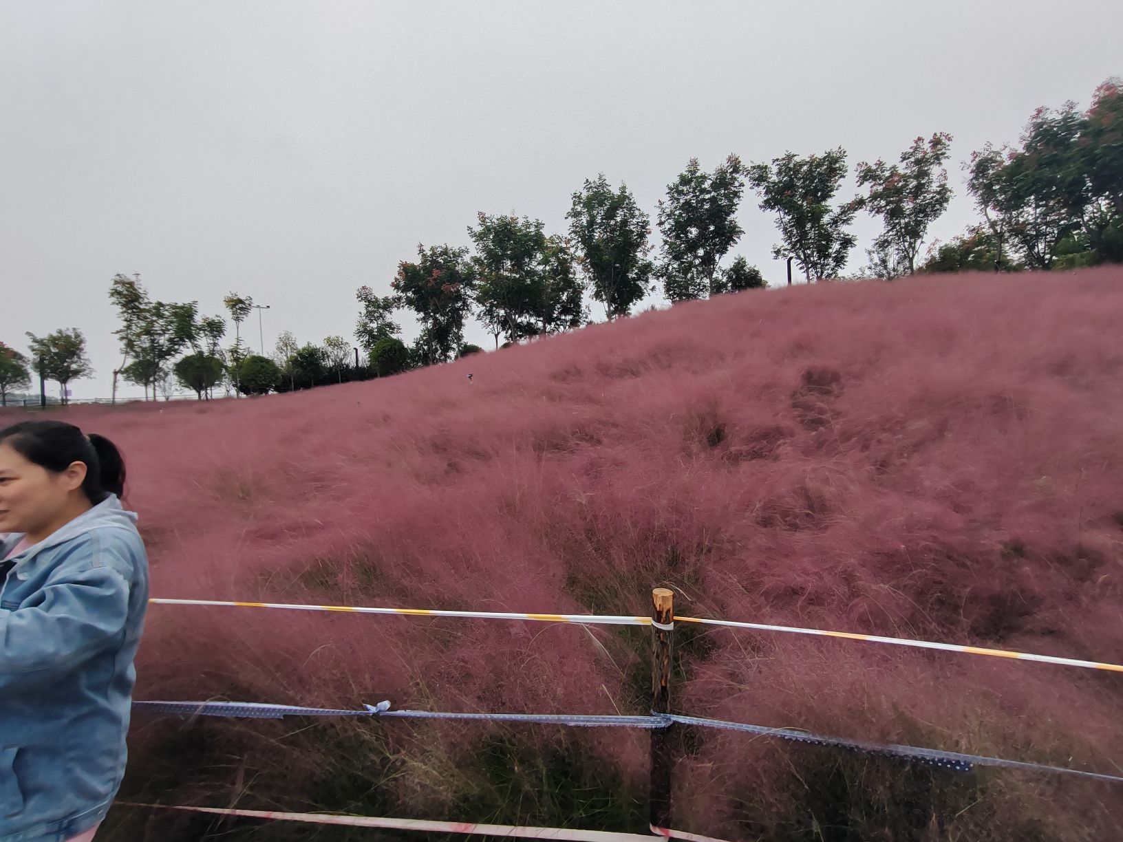 㶏溪湿地公园旅行图片