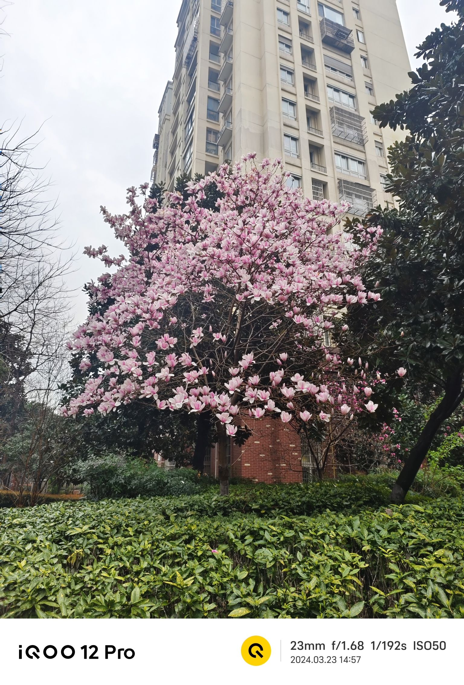 新龙生态林