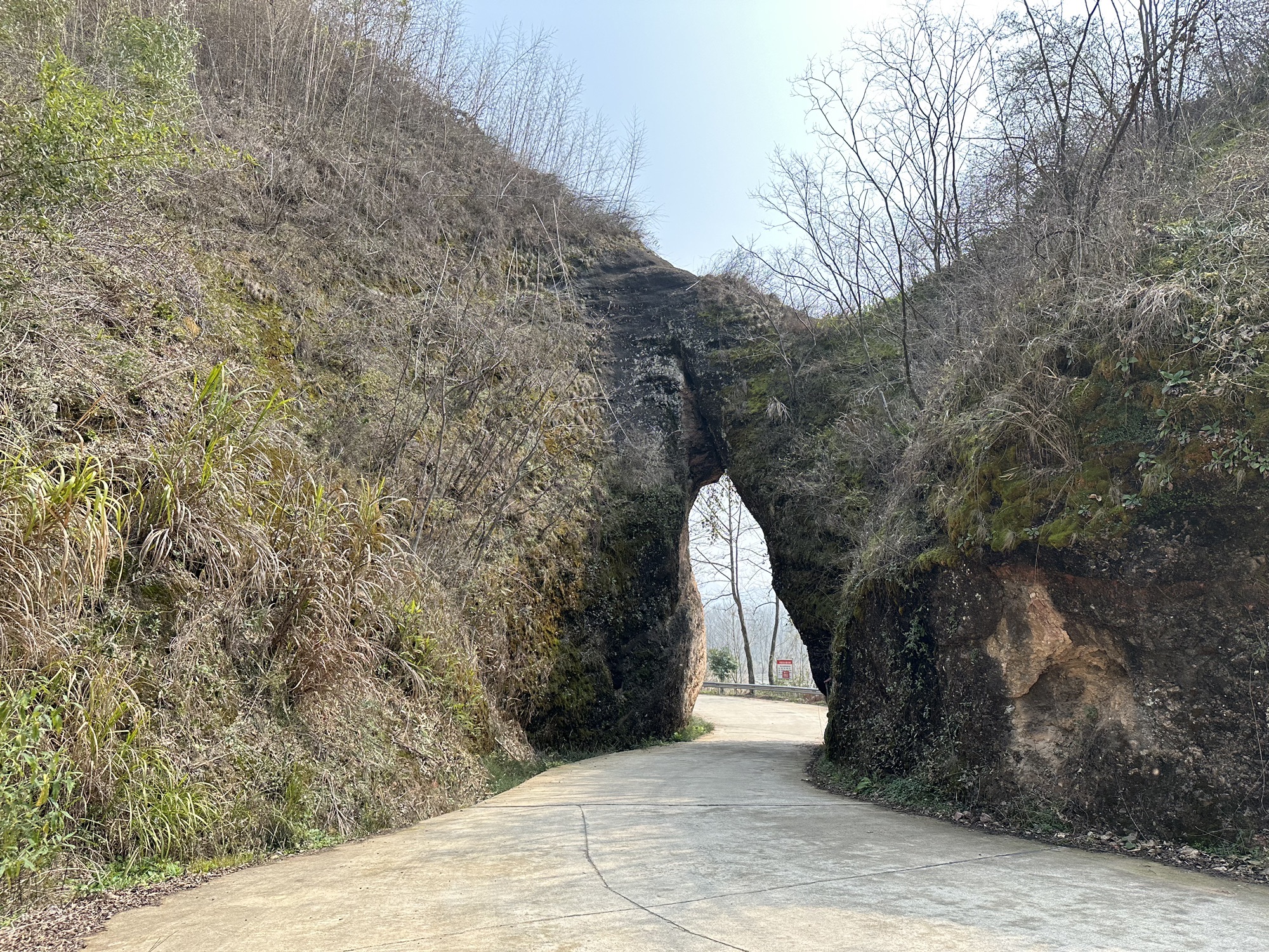 顾母门