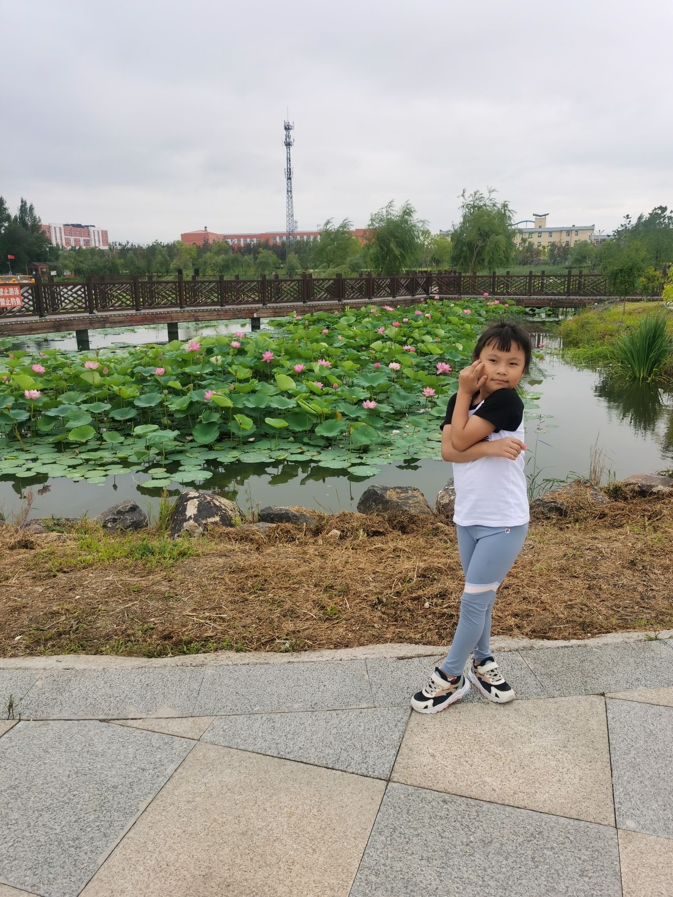 萝北凤栖湖公园旅行图片