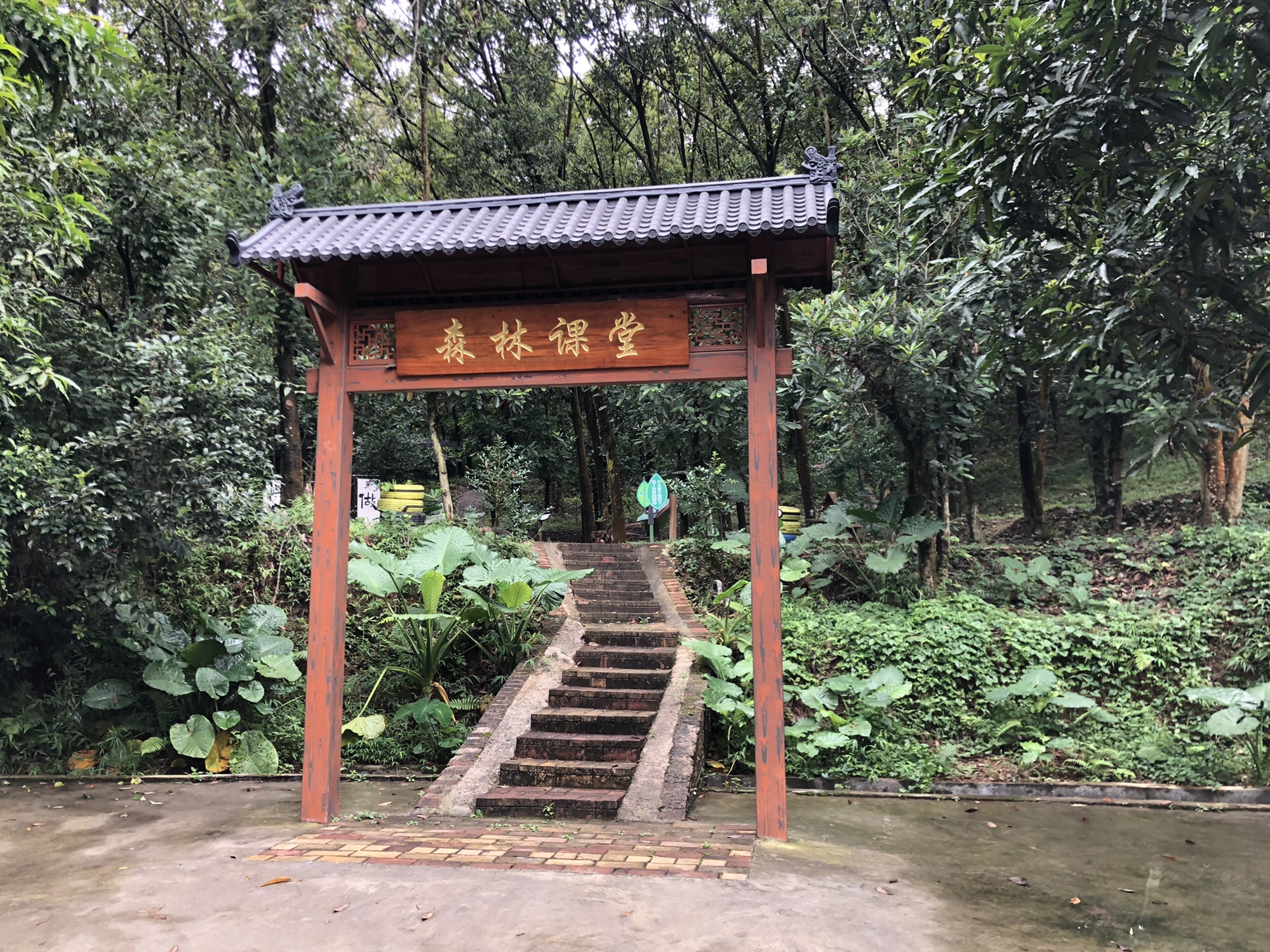 广东省森林生态综合示范园东江园区旅行图片