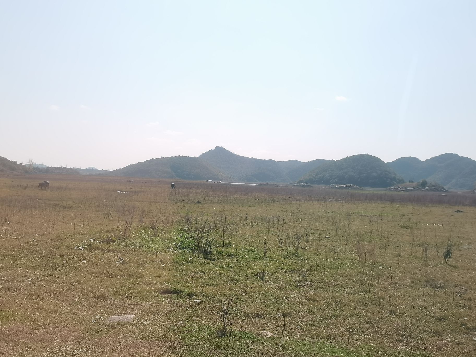 松林村湖边沙滩旅行图片
