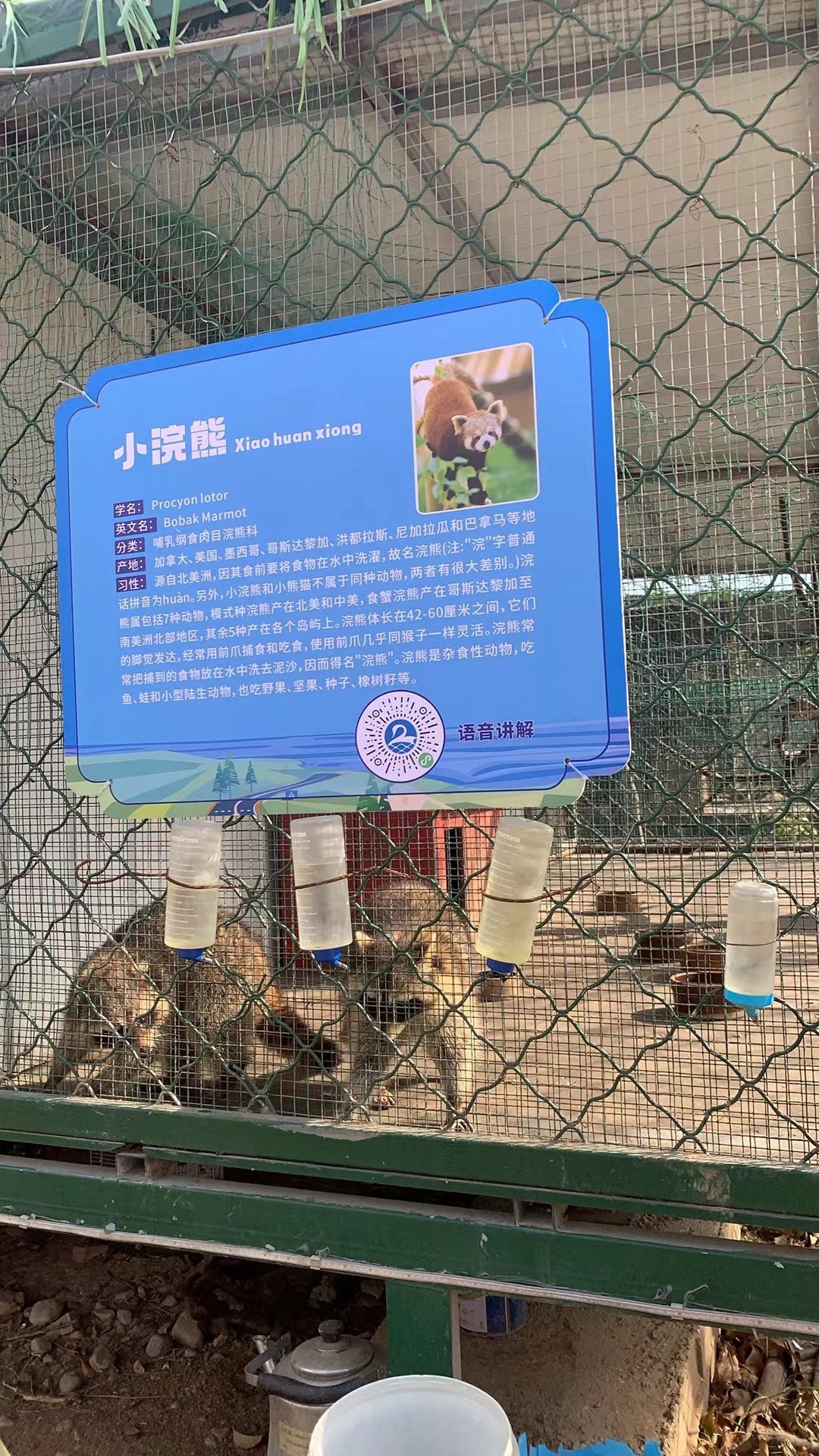 天鹅湖伊河游园